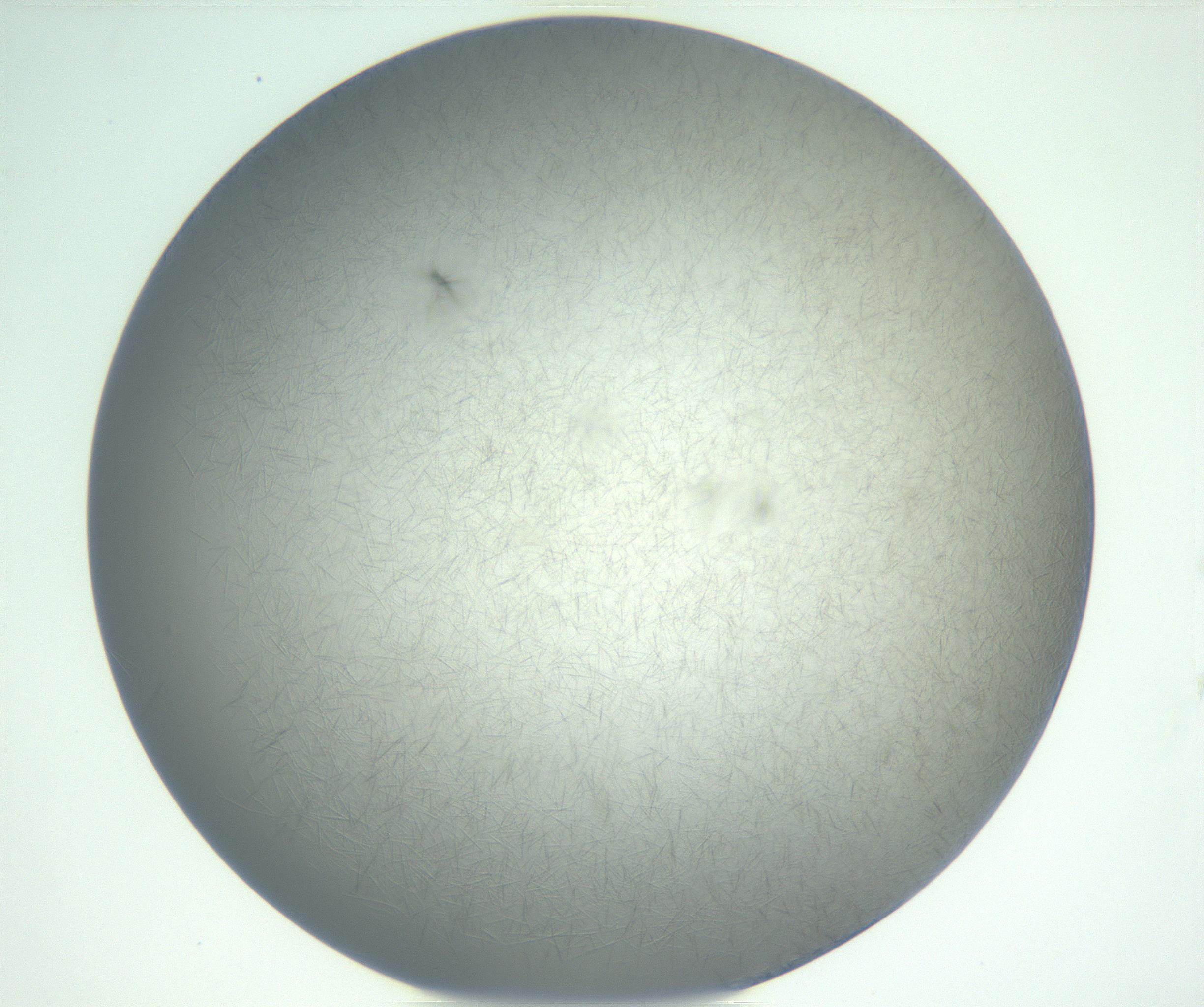 RI01_03_000_0212_Proj1_Clon1_MC_0000MC102885_002_161022_10_05_02_00_99_002_001_RAI.jpg