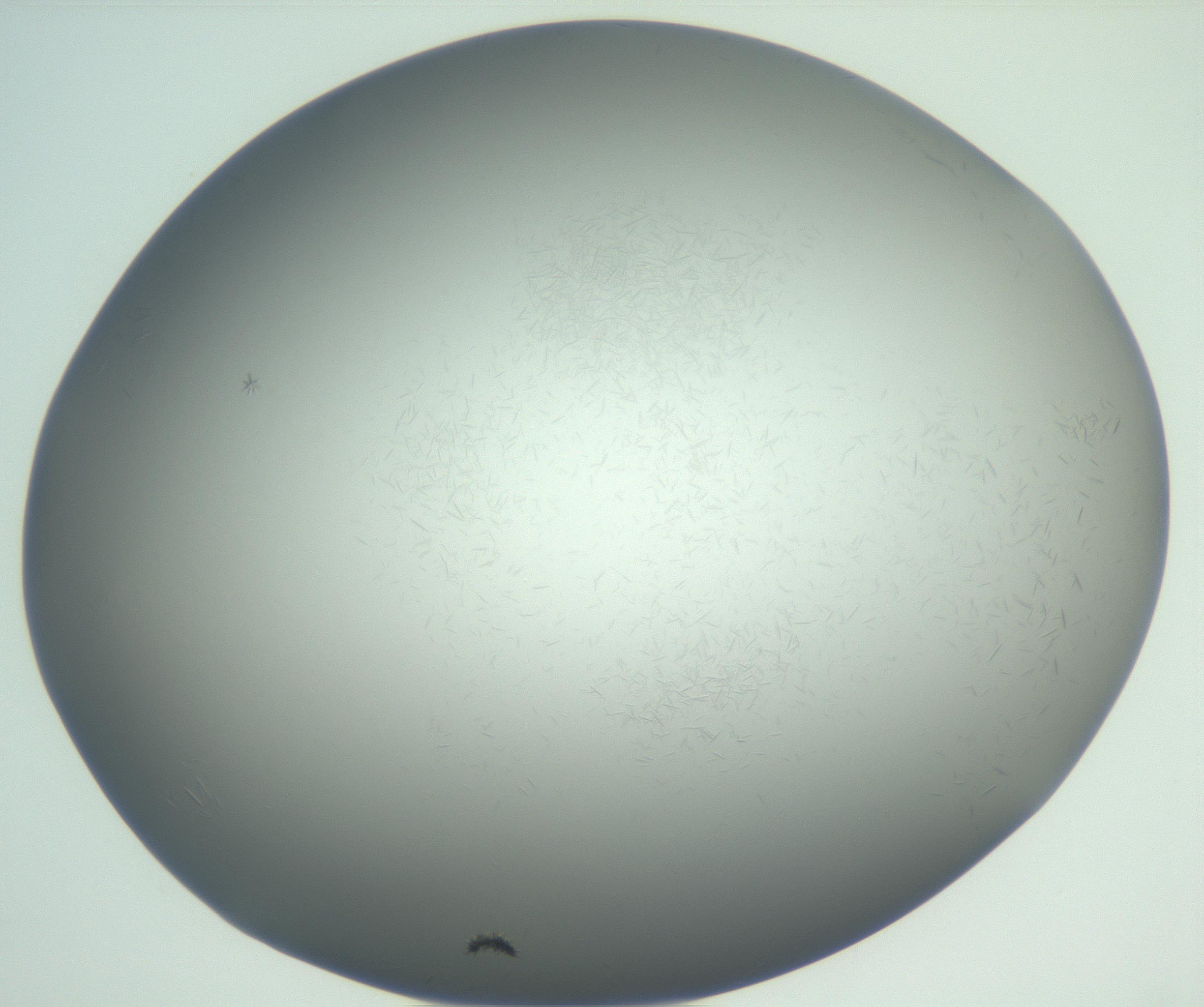 RI01_03_000_0212_Proj1_Clon1_MC_0000MC102885_002_161022_10_08_01_00_99_002_001_RAI.jpg