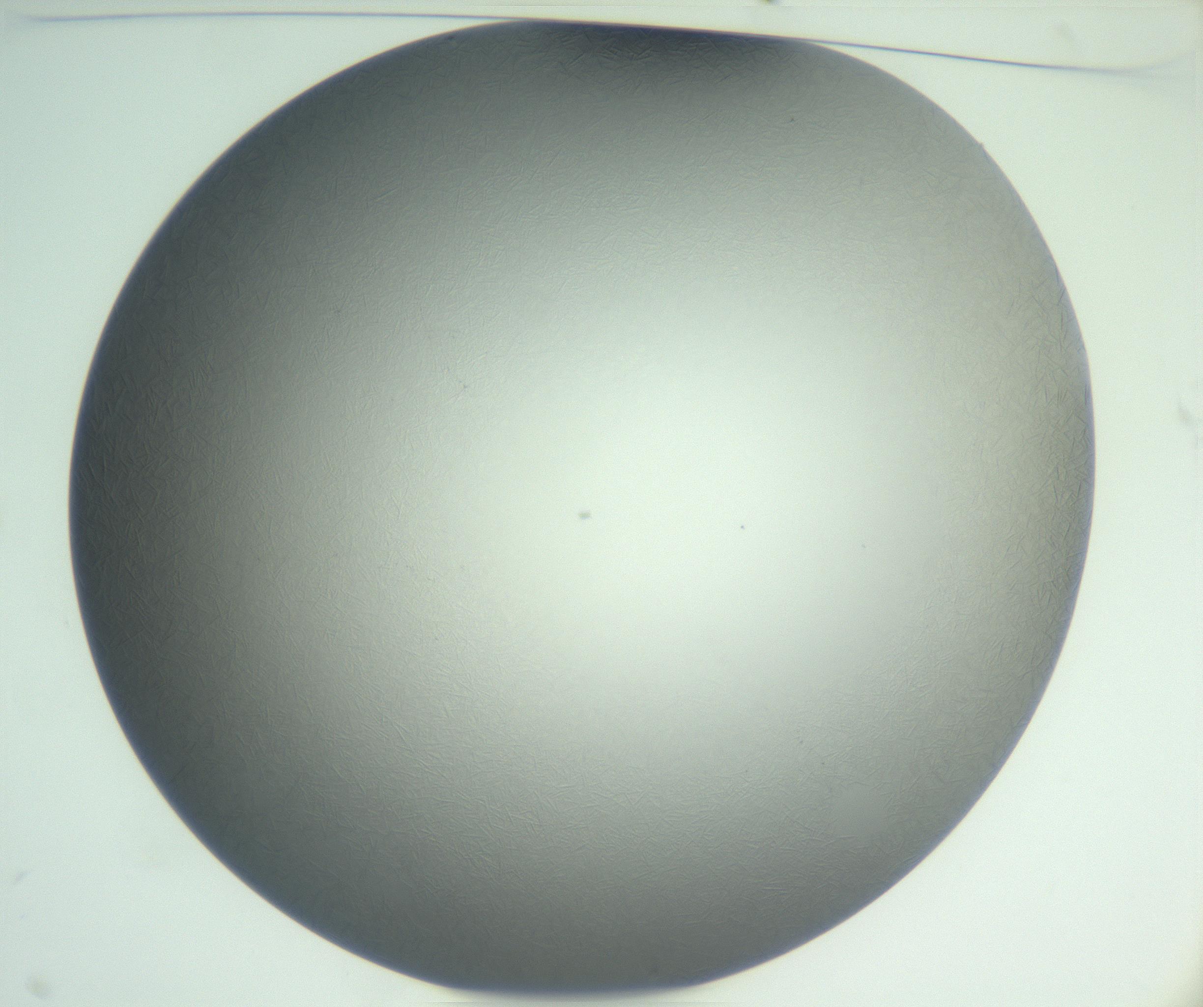 RI01_03_000_0212_Proj1_Clon1_MC_0000MC102885_002_161022_11_01_01_00_99_002_001_RAI.jpg