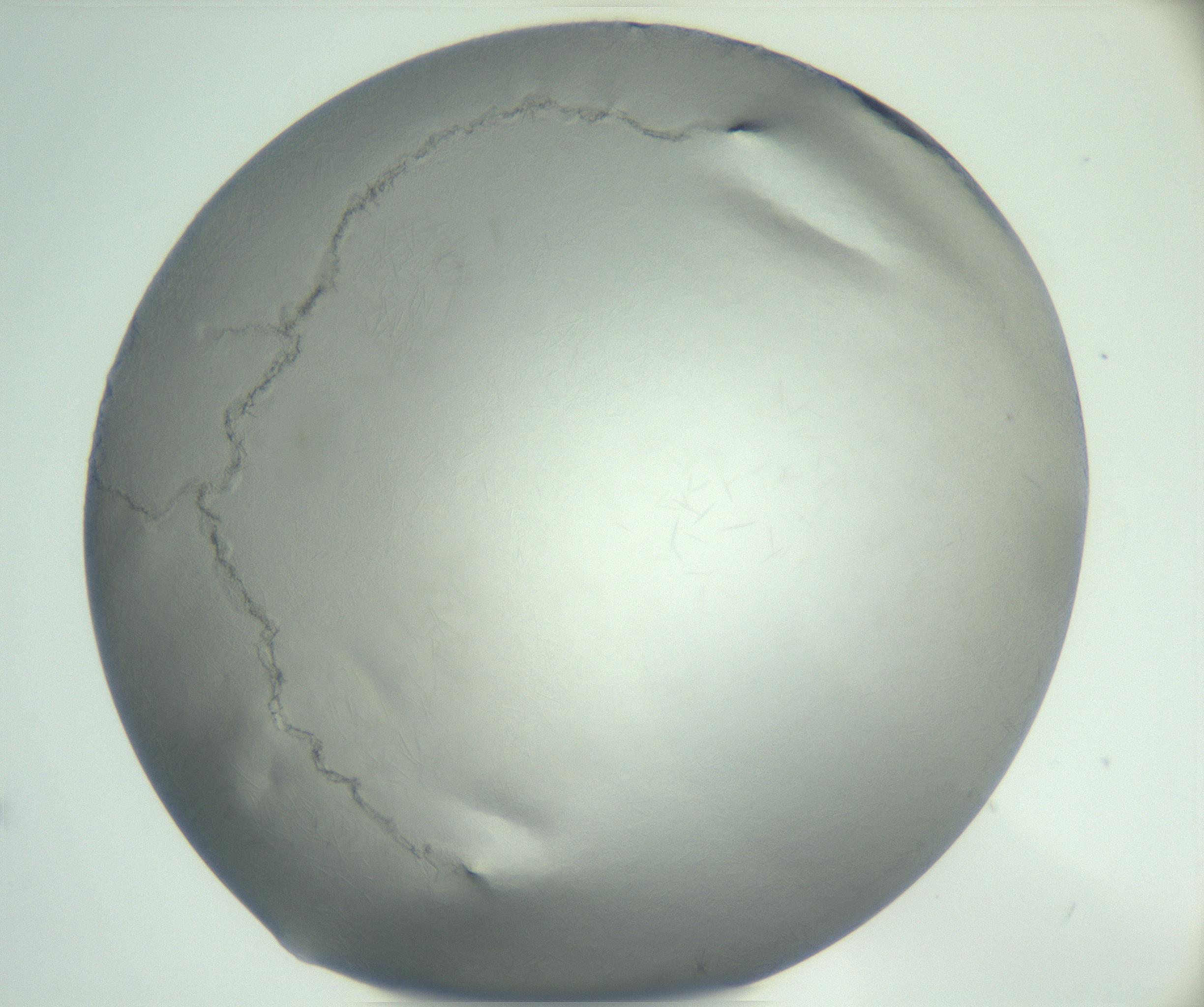 RI01_03_000_0212_Proj1_Clon1_MC_0000MC102885_002_161022_11_03_01_00_99_002_001_RAI.jpg