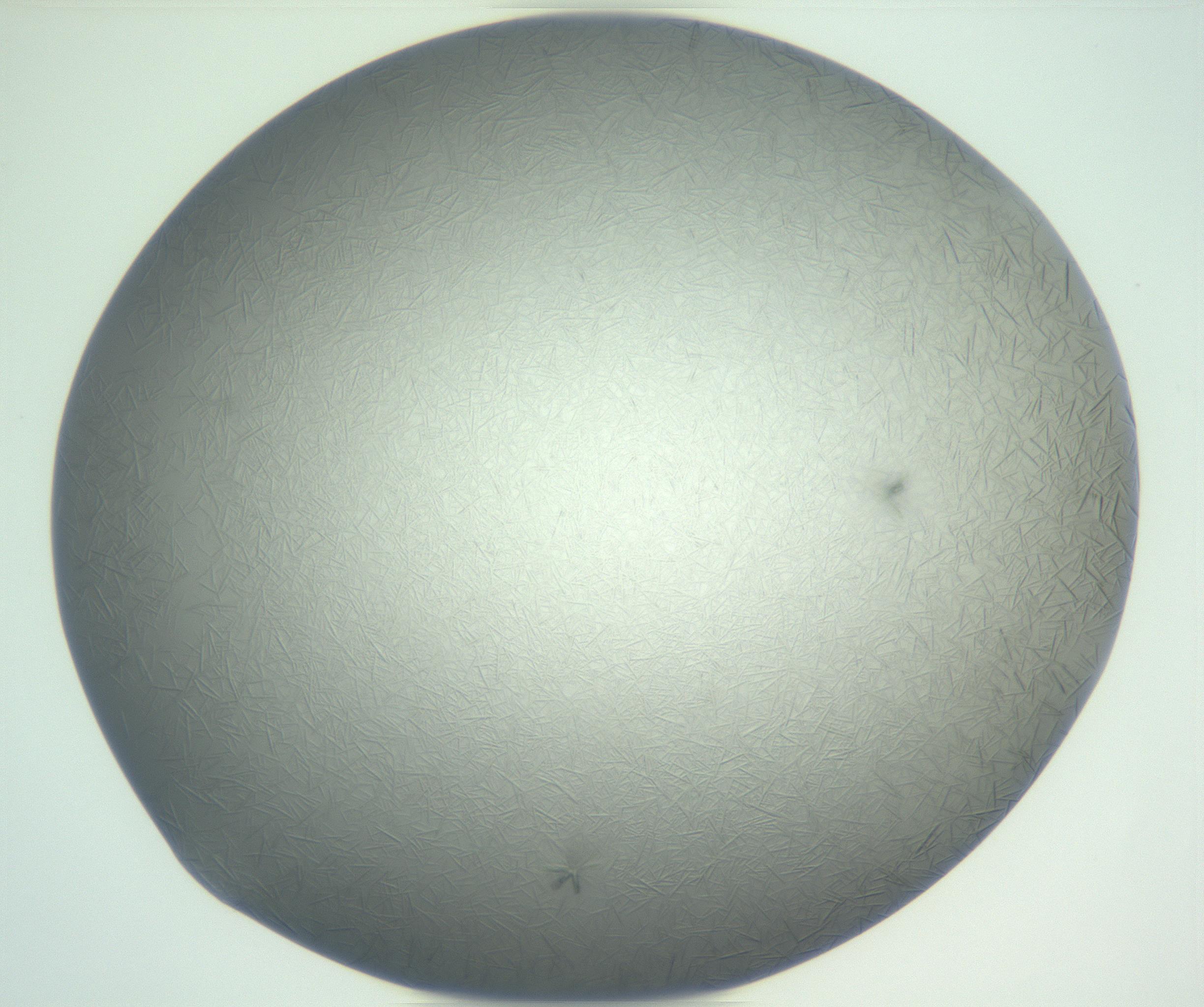 RI01_03_000_0212_Proj1_Clon1_MC_0000MC102885_002_161022_12_08_01_00_99_002_001_RAI.jpg