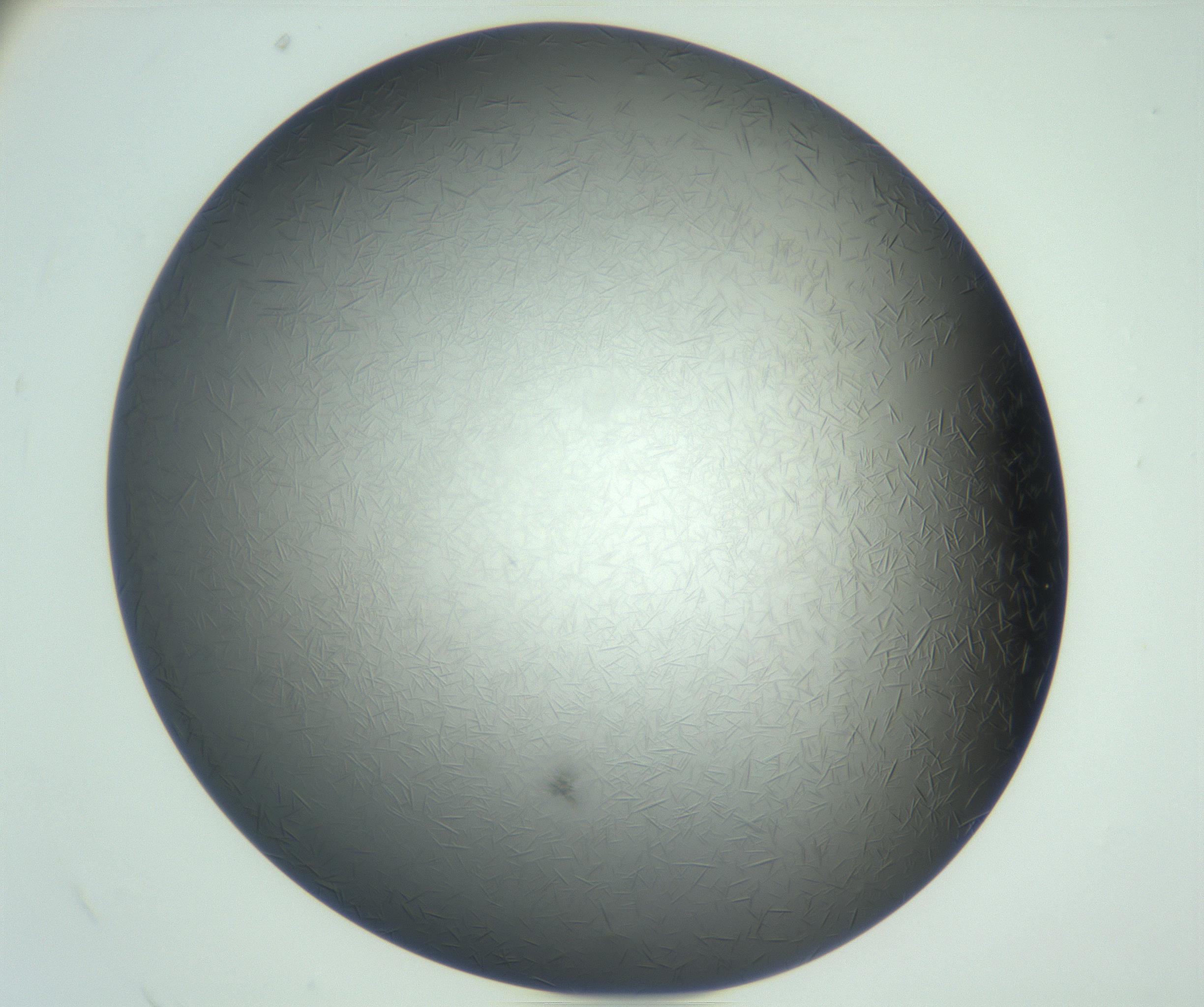 RI01_03_000_0212_Proj1_Clon1_MC_0000MC102885_002_161022_12_08_02_00_99_002_001_RAI.jpg
