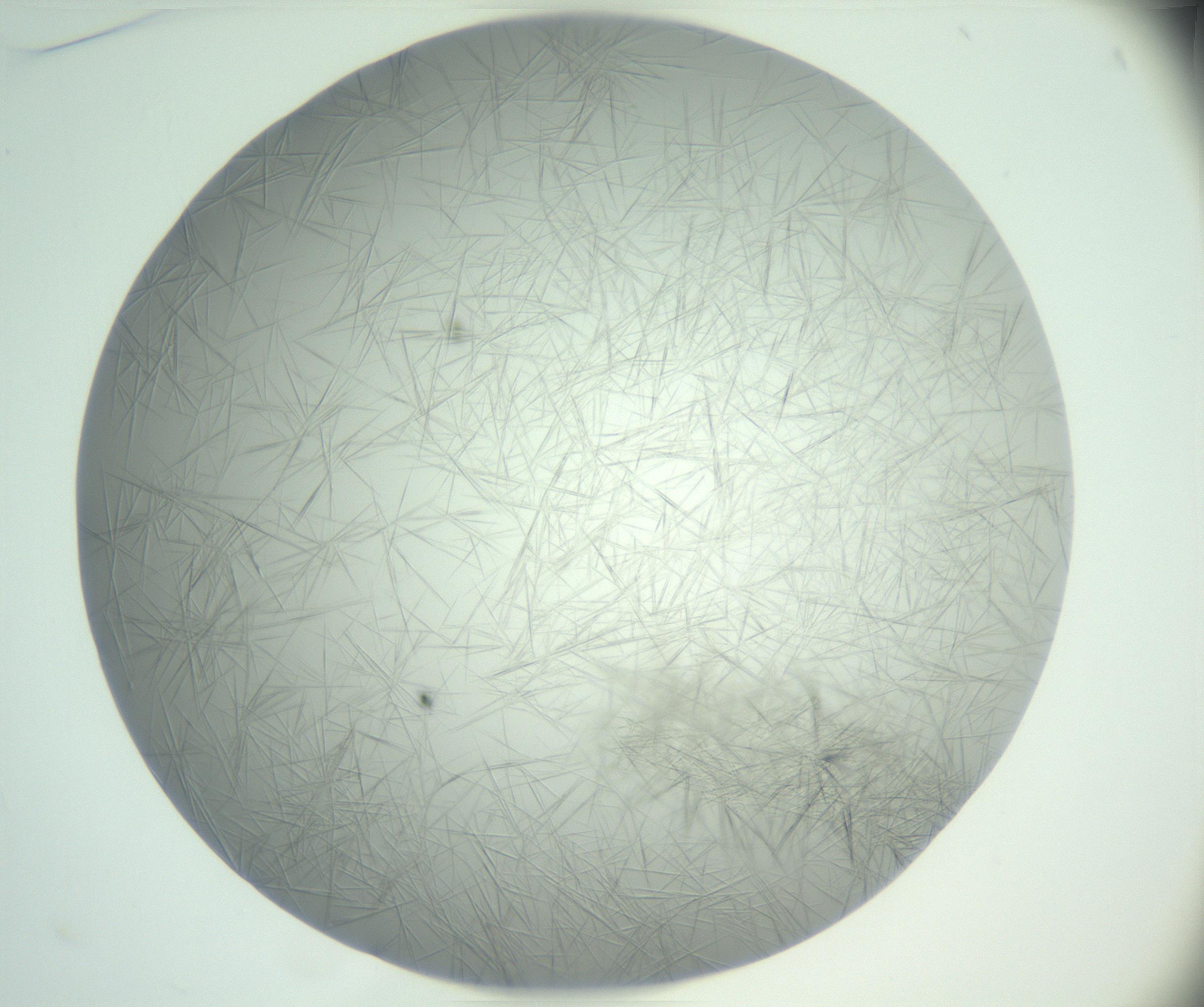 RI01_03_000_0212_Proj1_Clon1_MC_0000MC102885_004_161024_01_03_01_00_99_002_001_RAI.jpg