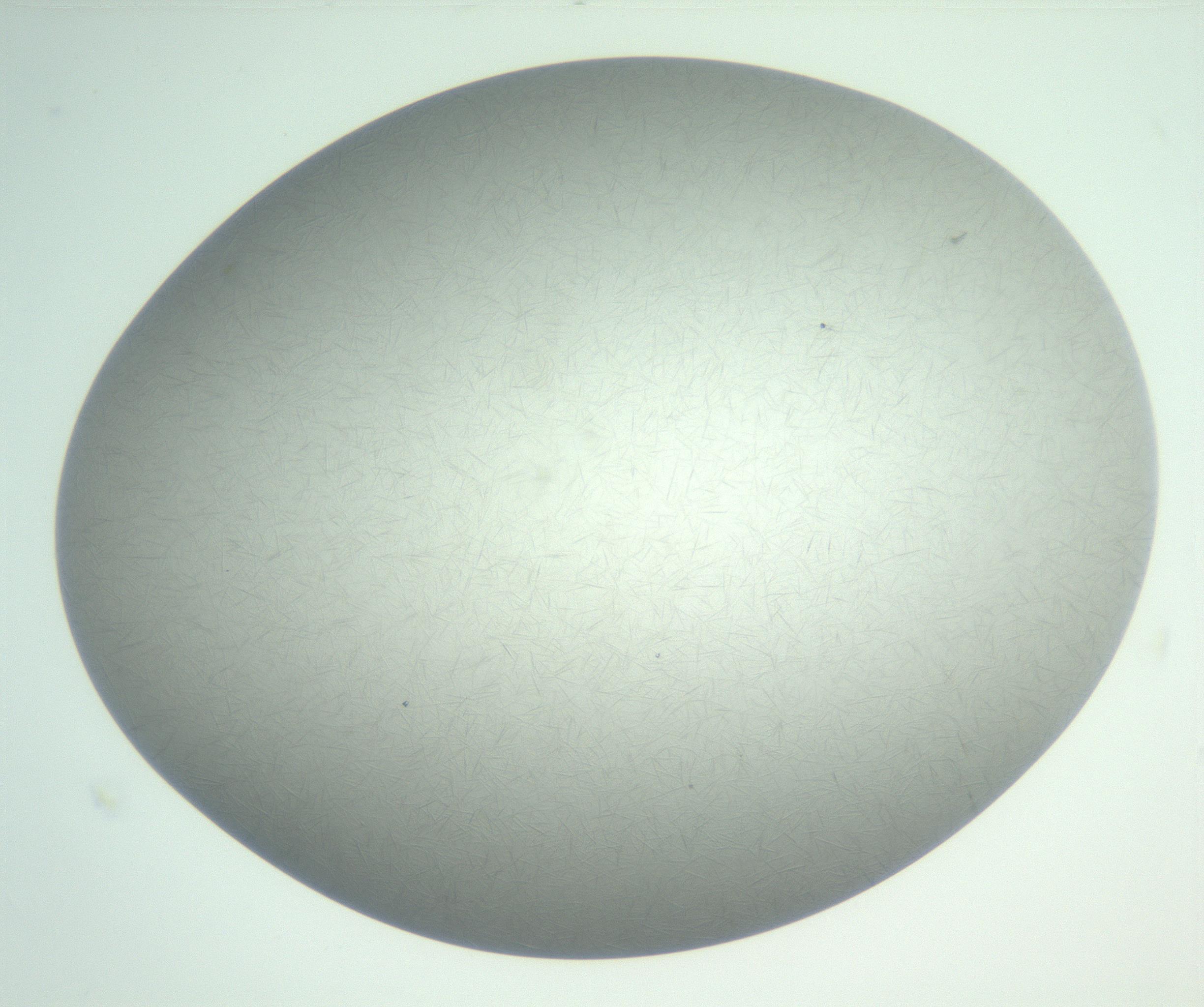 RI01_03_000_0212_Proj1_Clon1_MC_0000MC102885_004_161024_02_08_01_00_99_002_001_RAI.jpg