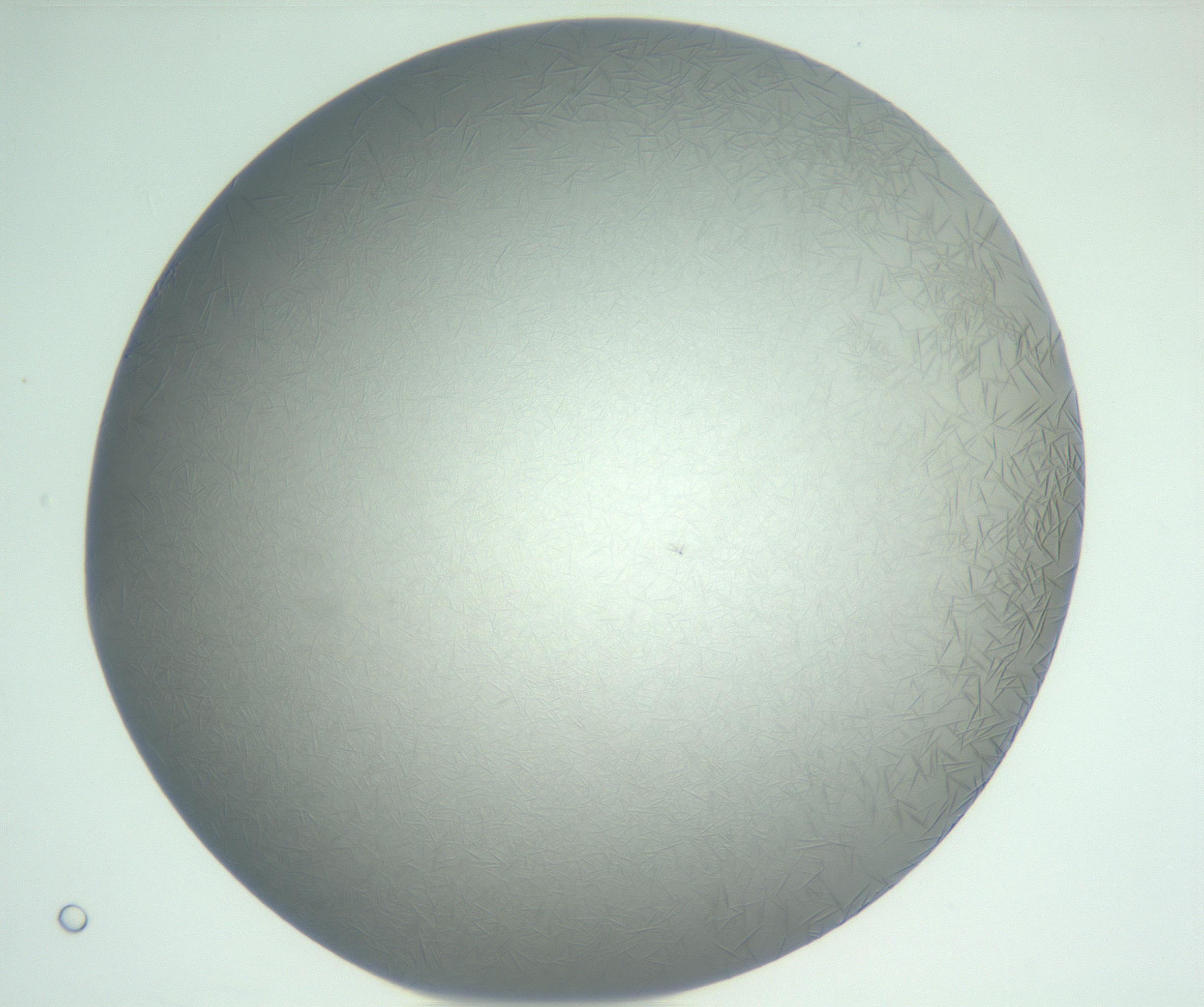 RI01_03_000_0212_Proj1_Clon1_MC_0000MC102885_004_161024_03_05_02_00_99_002_001_RAI.jpg