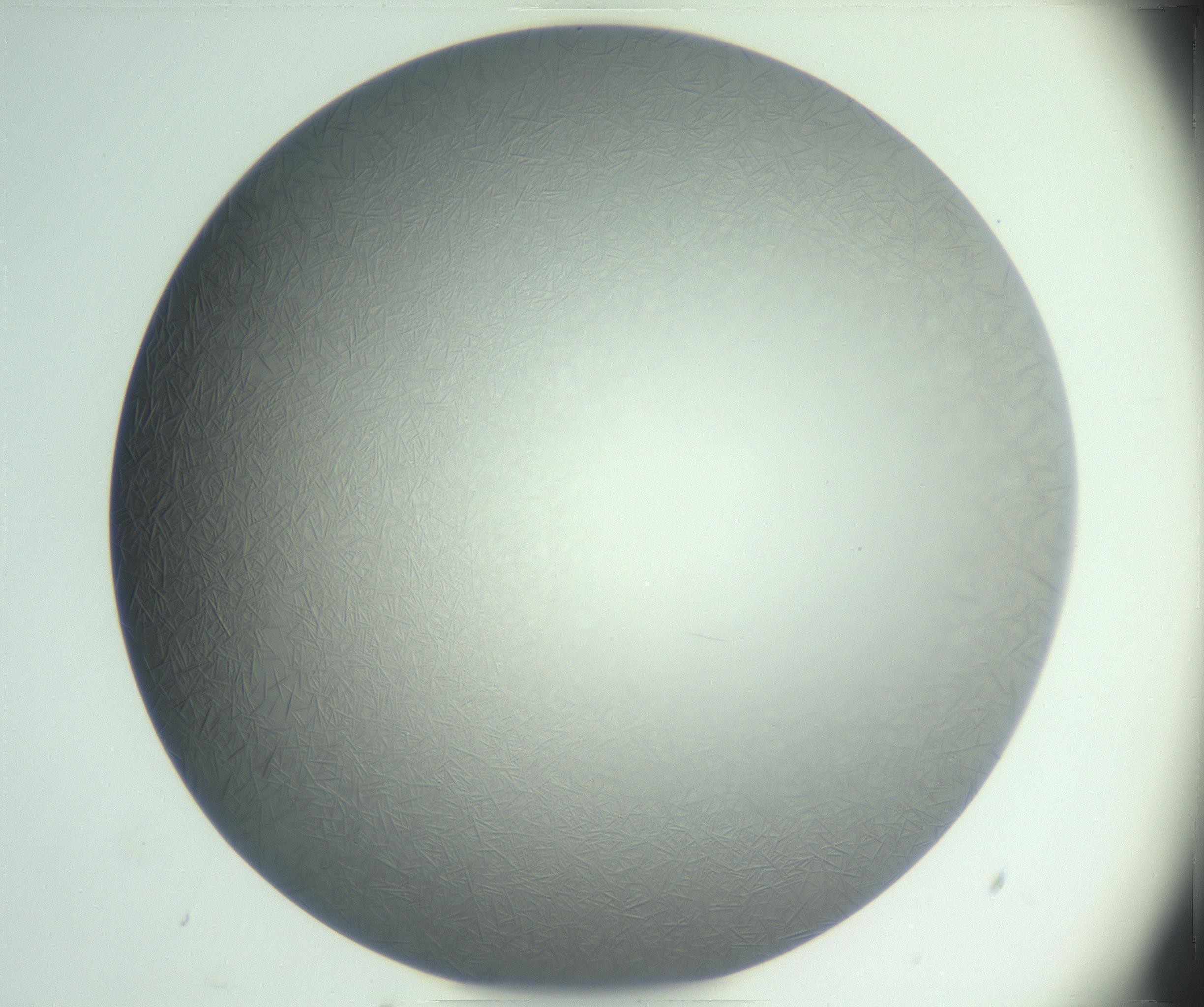 RI01_03_000_0212_Proj1_Clon1_MC_0000MC102885_004_161024_05_03_01_00_99_002_001_RAI.jpg