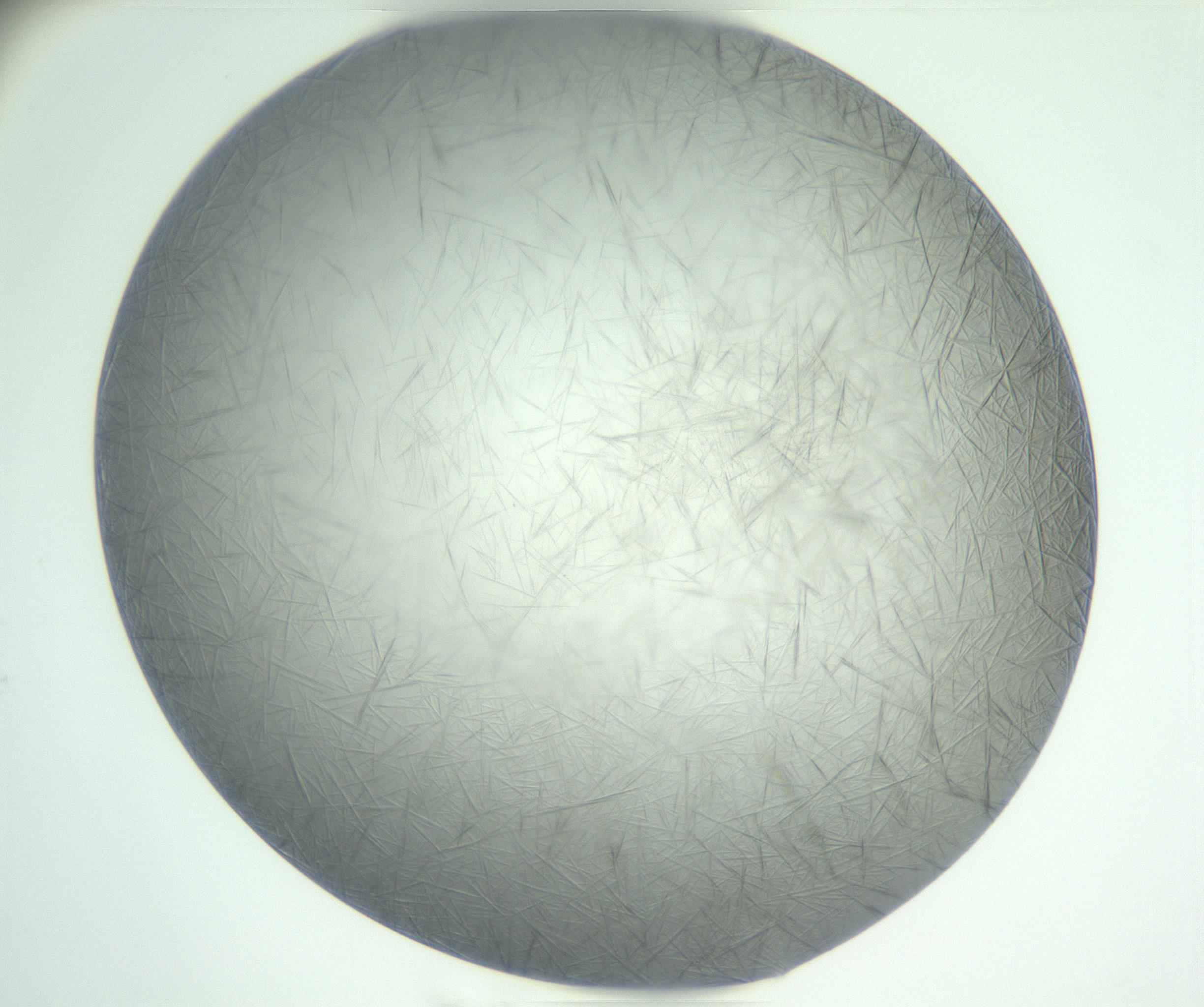 RI01_03_000_0212_Proj1_Clon1_MC_0000MC102885_004_161024_05_07_01_00_99_002_001_RAI.jpg