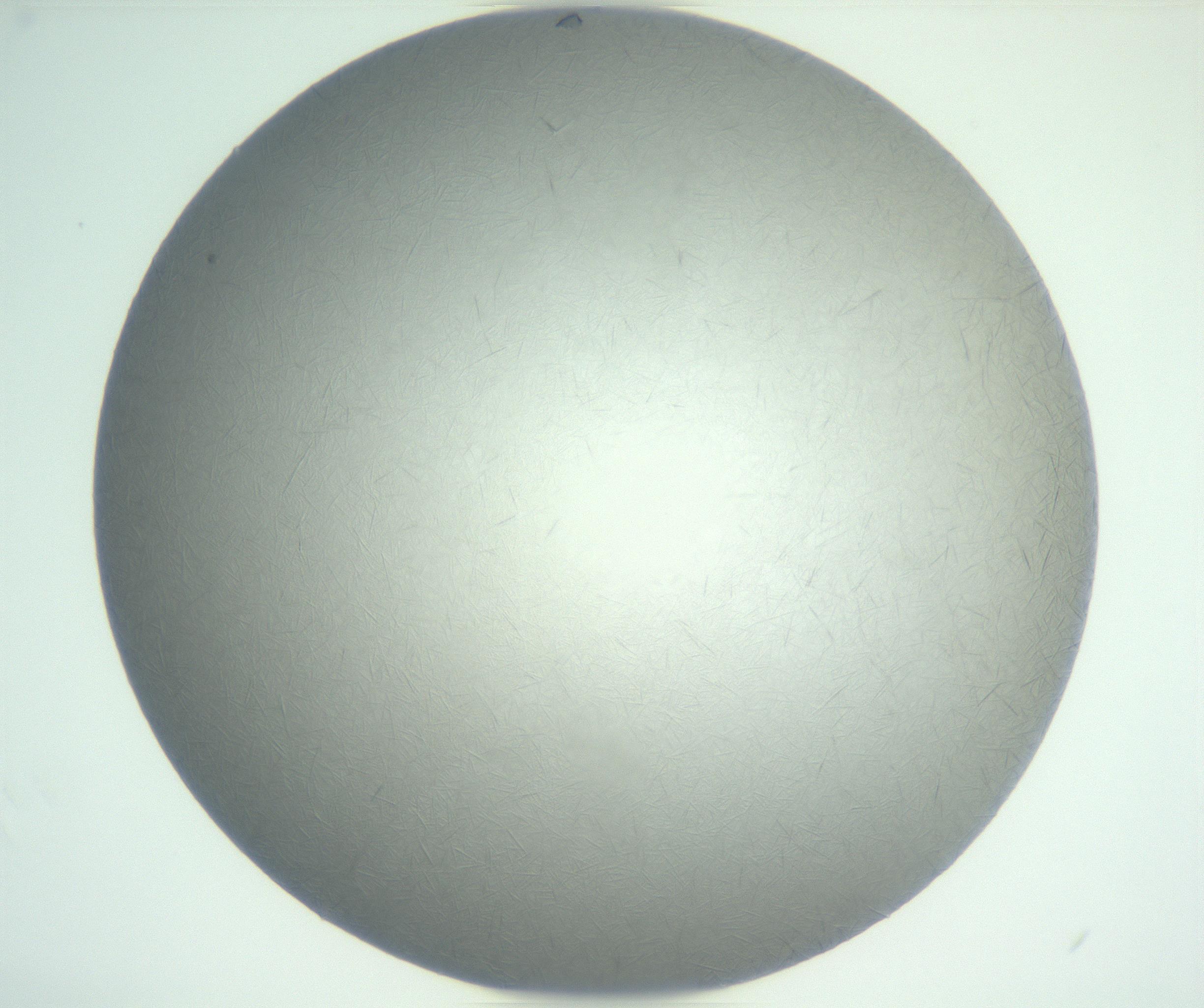 RI01_03_000_0212_Proj1_Clon1_MC_0000MC102885_004_161024_06_03_02_00_99_002_001_RAI.jpg