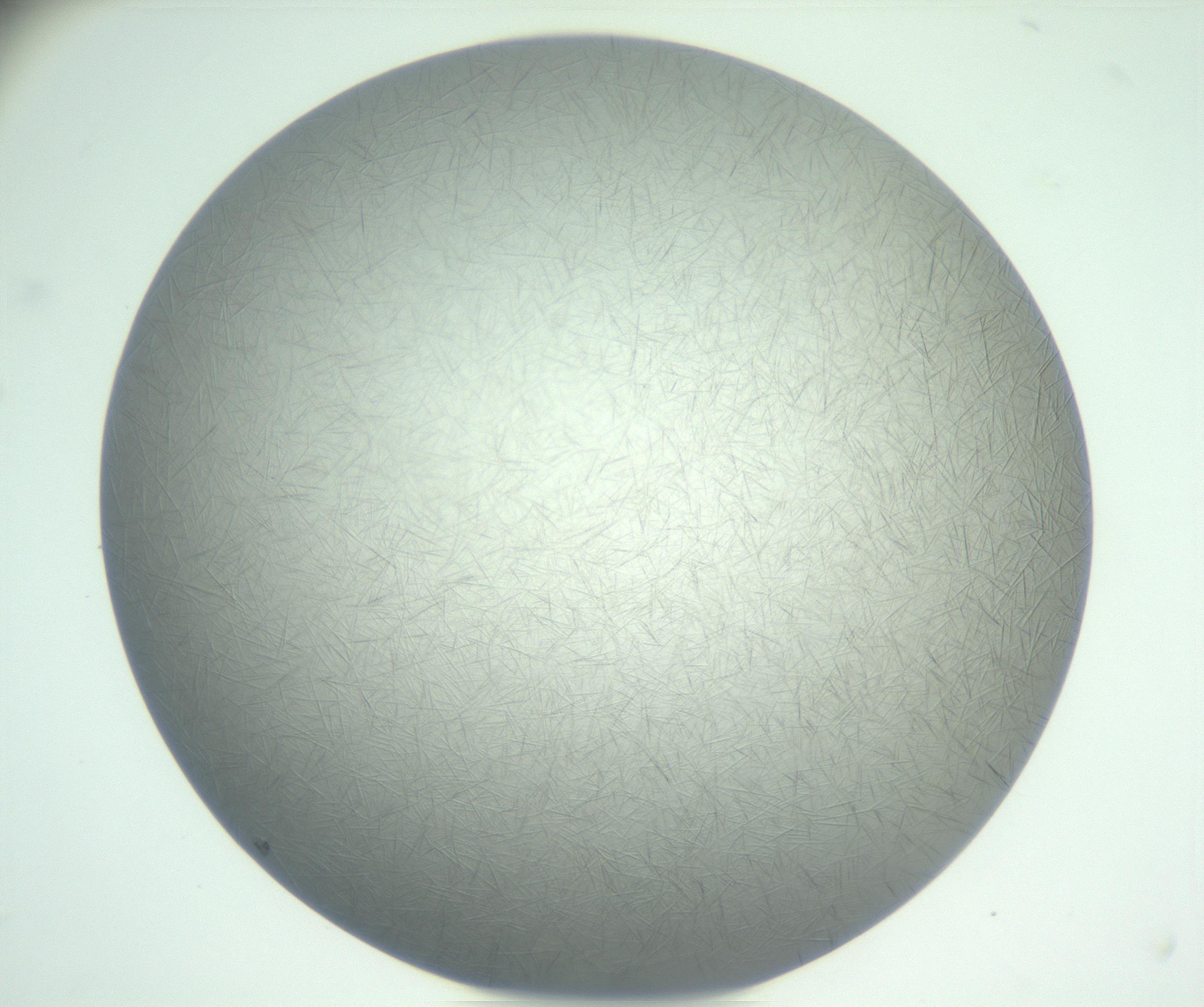 RI01_03_000_0212_Proj1_Clon1_MC_0000MC102885_004_161024_06_07_01_00_99_002_001_RAI.jpg