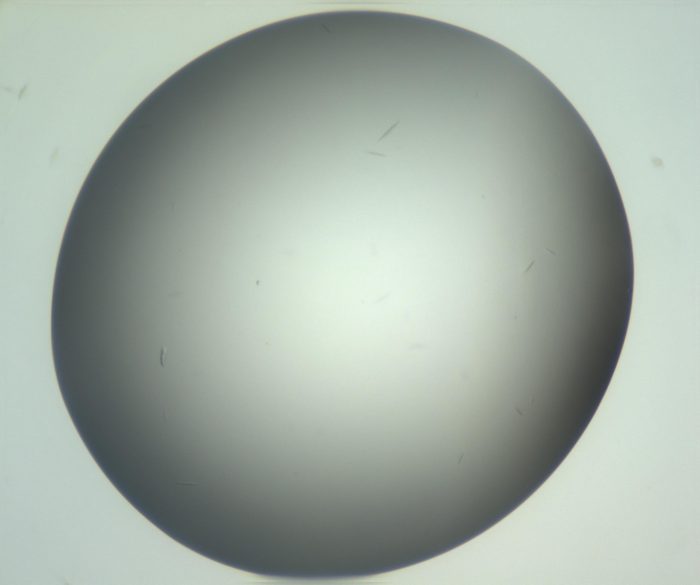RI01_03_000_0212_Proj1_Clon1_MC_0000MC102885_004_161024_08_08_02_00_99_002_001_RAI.jpg