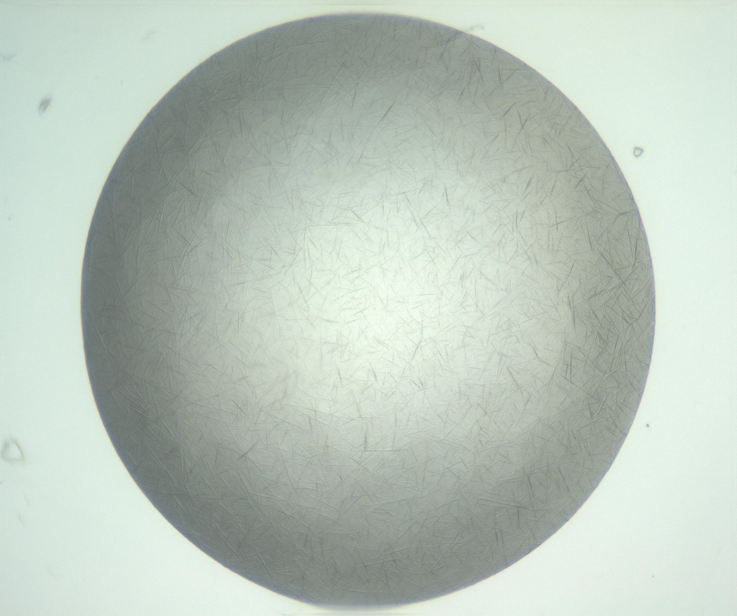 RI01_03_000_0212_Proj1_Clon1_MC_0000MC102885_004_161024_09_02_01_00_99_002_001_RAI.jpg