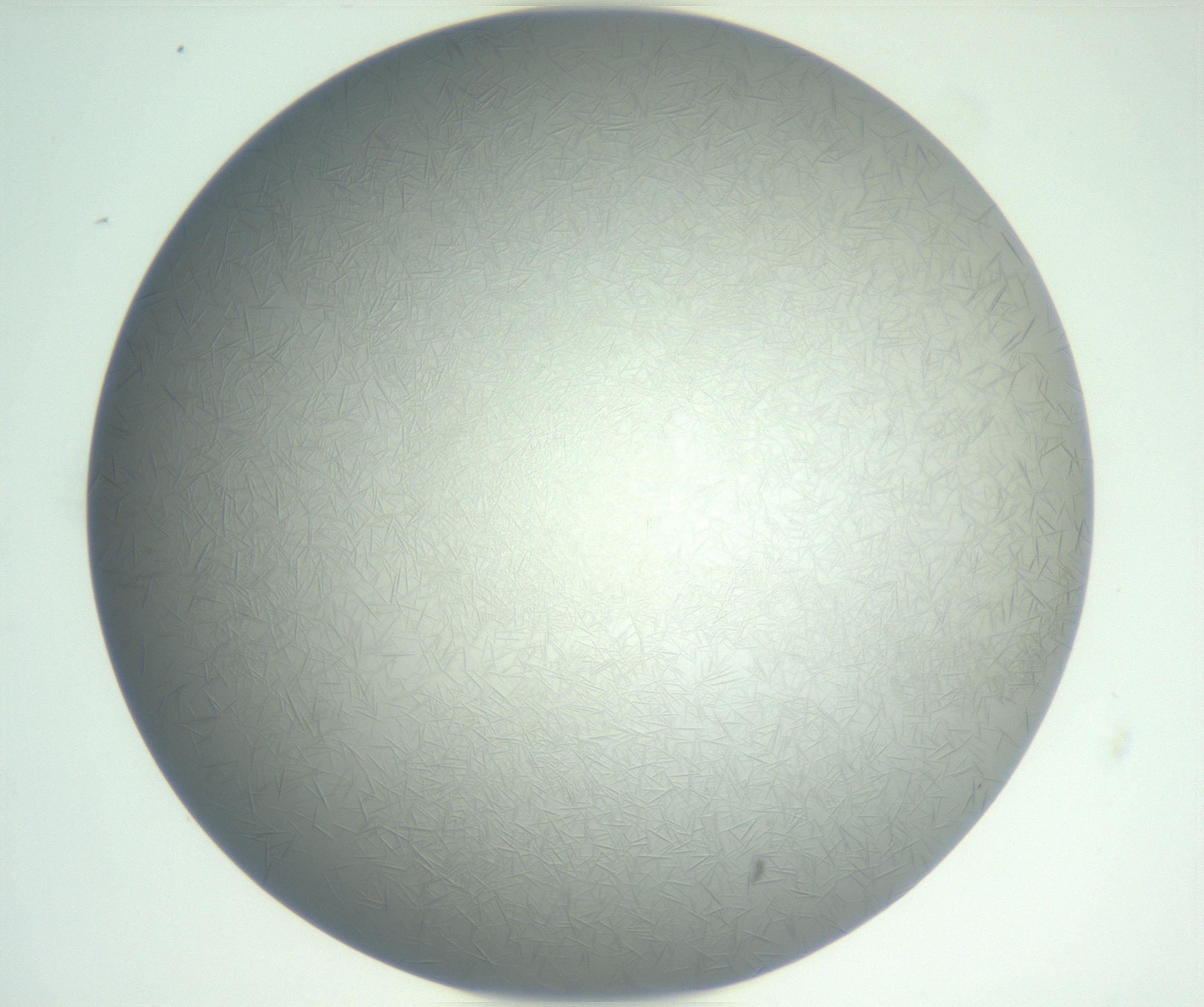 RI01_03_000_0212_Proj1_Clon1_MC_0000MC102885_004_161024_11_01_02_00_99_002_001_RAI.jpg