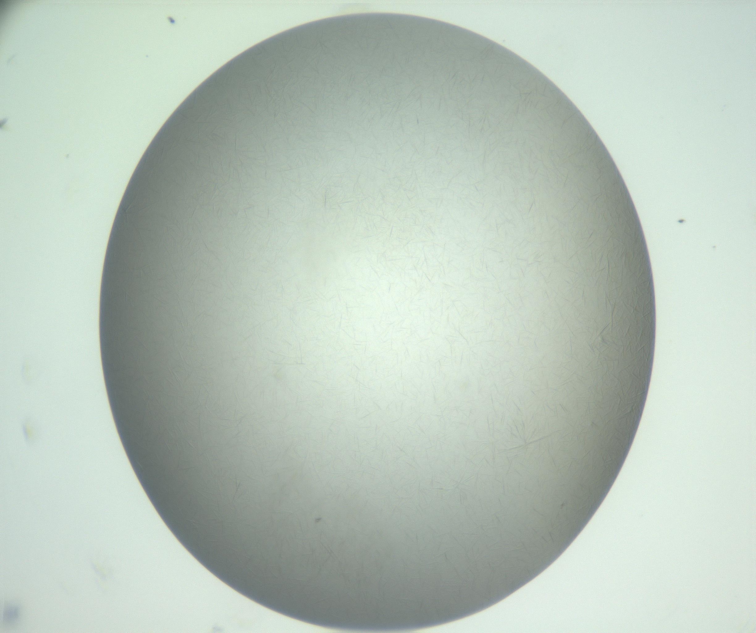 RI01_03_000_0212_Proj1_Clon1_MC_0000MC102885_004_161024_11_08_02_00_99_002_001_RAI.jpg