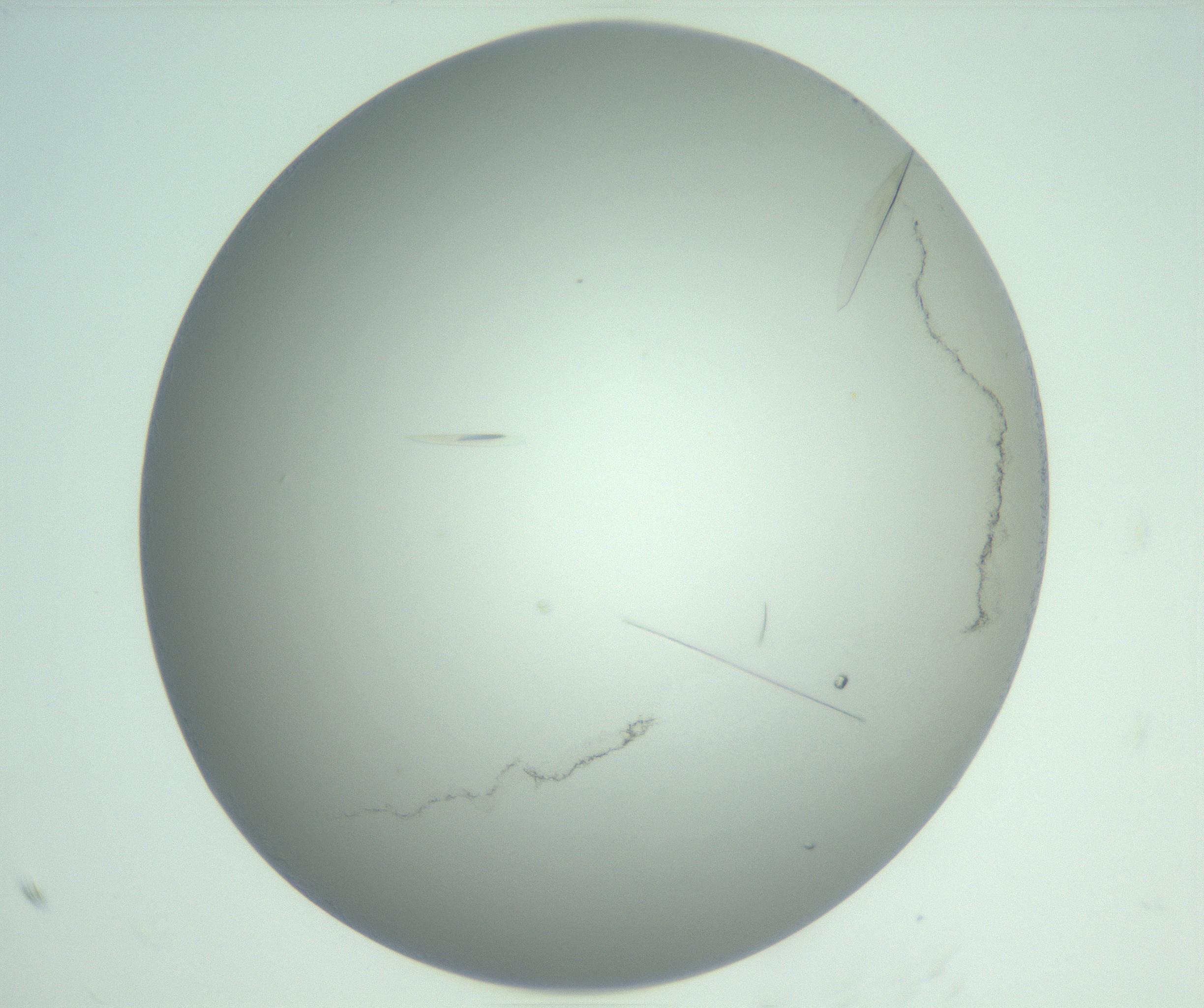 RI01_03_000_0212_Proj1_Clon1_MC_0000MC102885_010_161126_07_07_02_00_99_002_001_RAI.jpg