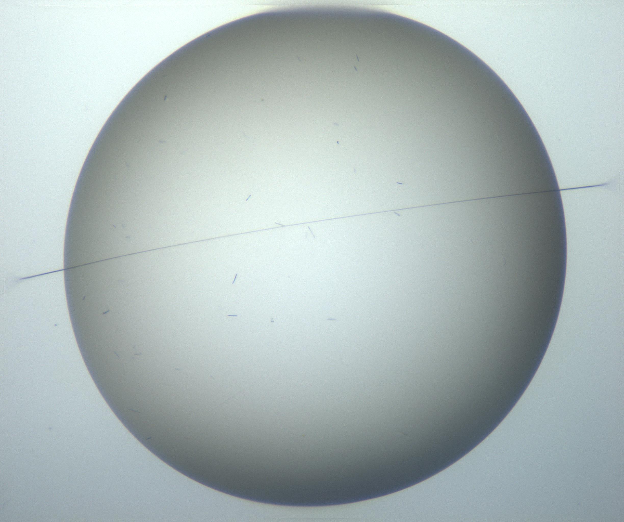 RI01_03_000_0212_Proj1_Clon1_MC_0000MC102886_002_161025_02_01_01_00_99_002_001_RAI.jpg