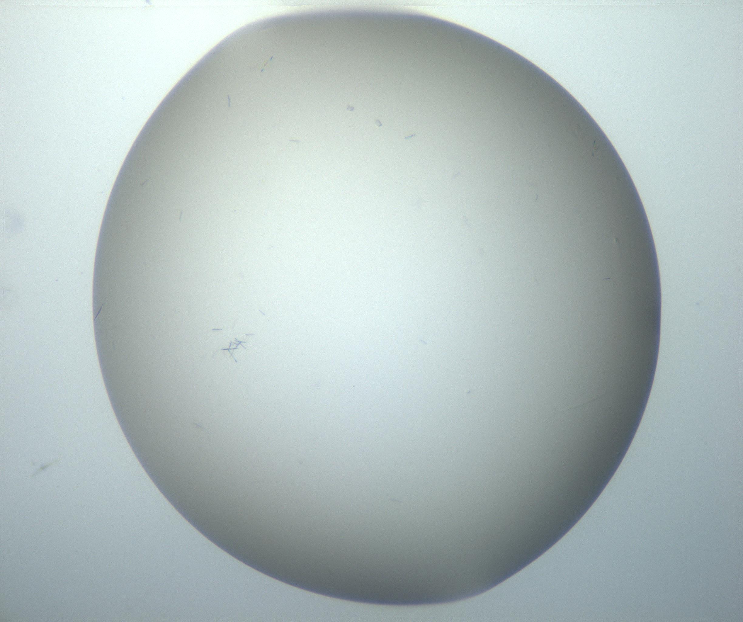 RI01_03_000_0212_Proj1_Clon1_MC_0000MC102886_002_161025_02_01_02_00_99_002_001_RAI.jpg