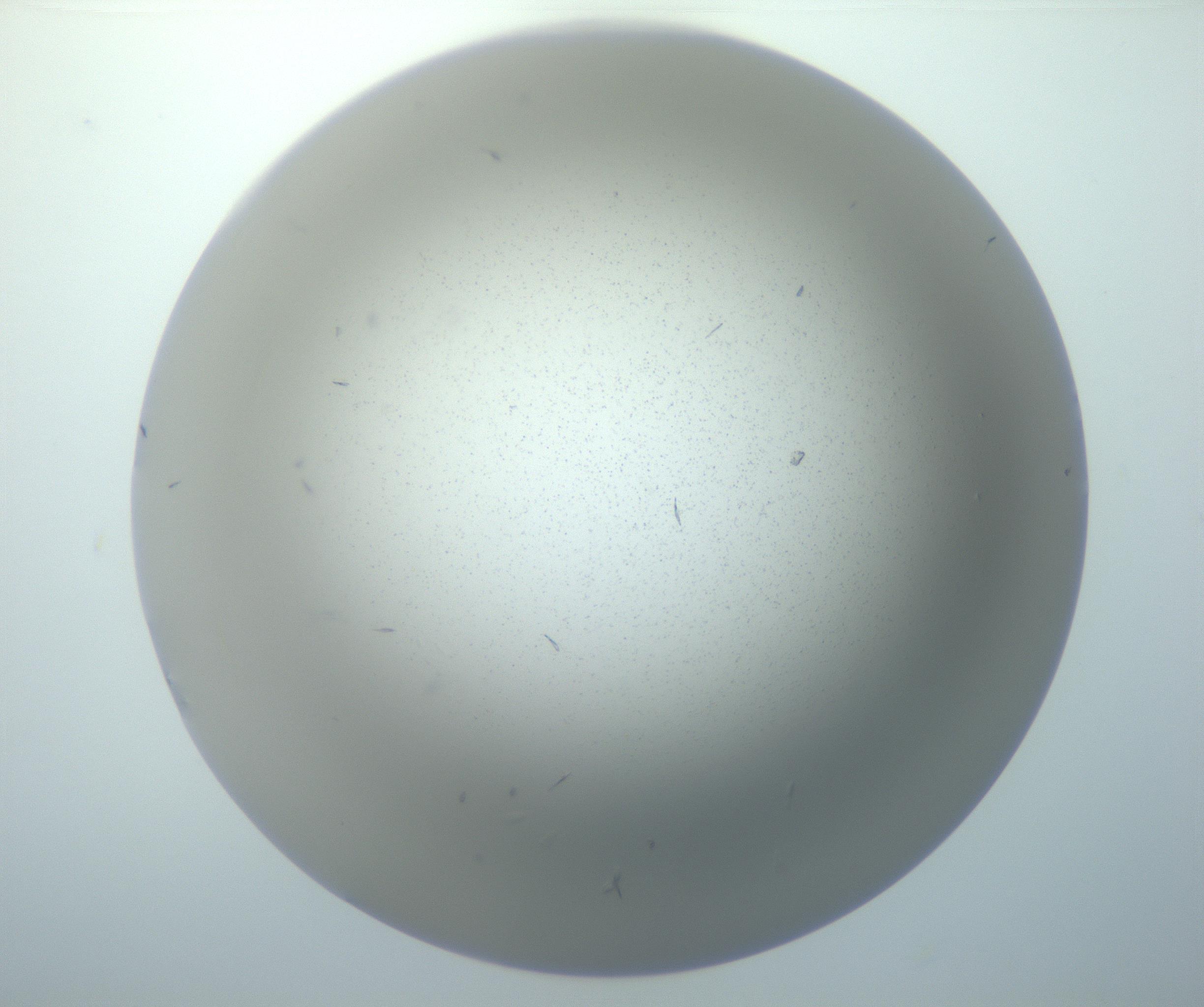 RI01_03_000_0212_Proj1_Clon1_MC_0000MC102886_002_161025_03_03_01_00_99_002_001_RAI.jpg