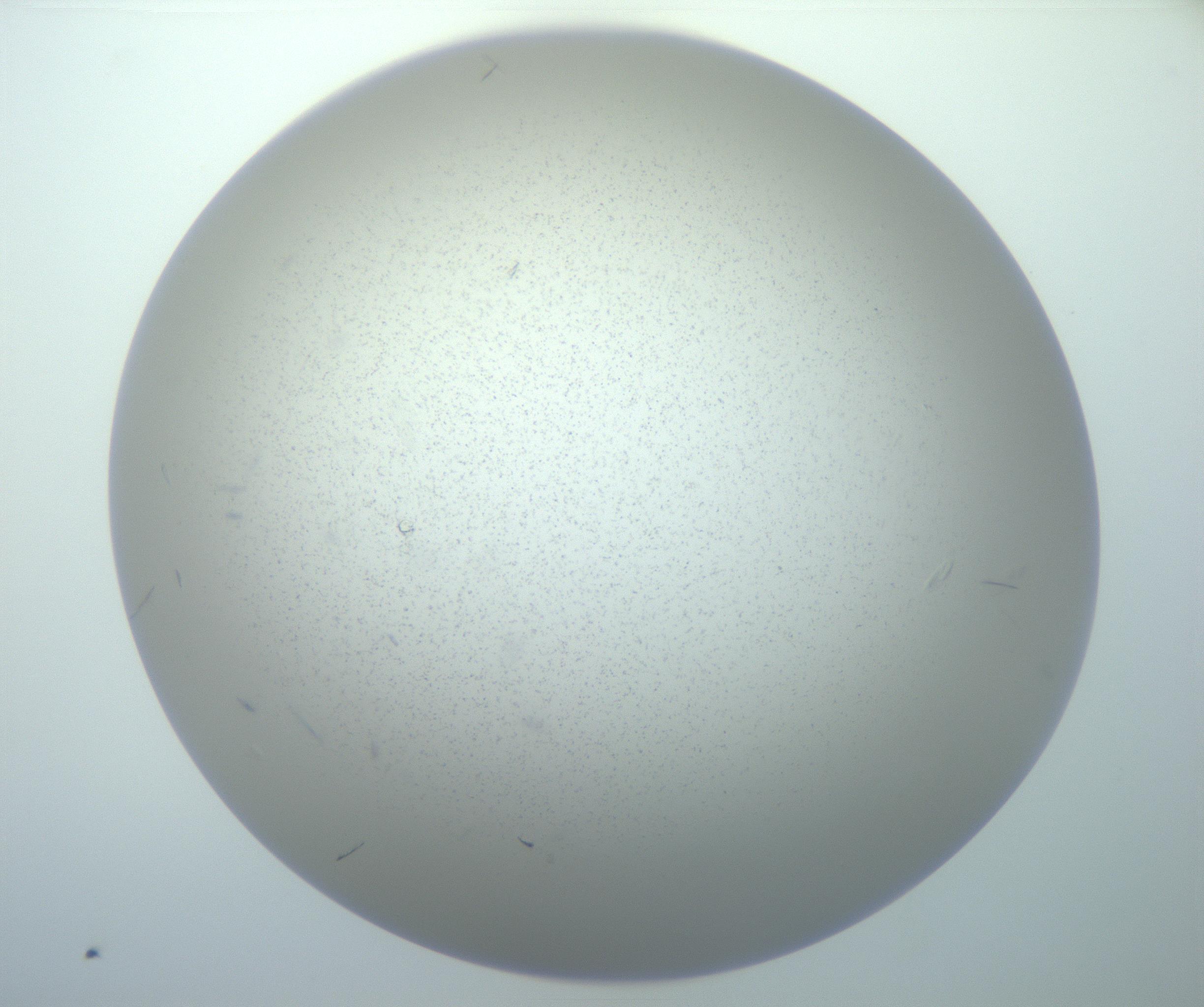 RI01_03_000_0212_Proj1_Clon1_MC_0000MC102886_002_161025_05_08_02_00_99_002_001_RAI.jpg