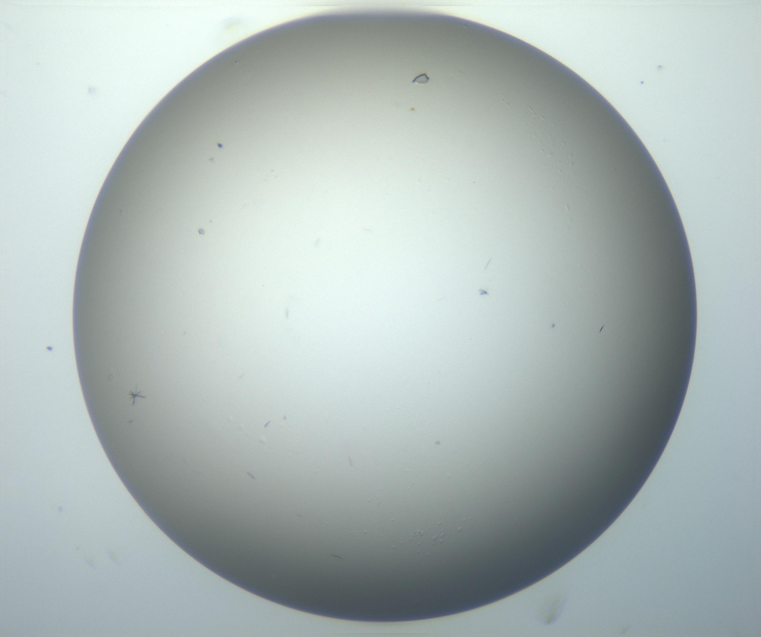 RI01_03_000_0212_Proj1_Clon1_MC_0000MC102886_002_161025_06_03_02_00_99_002_001_RAI.jpg