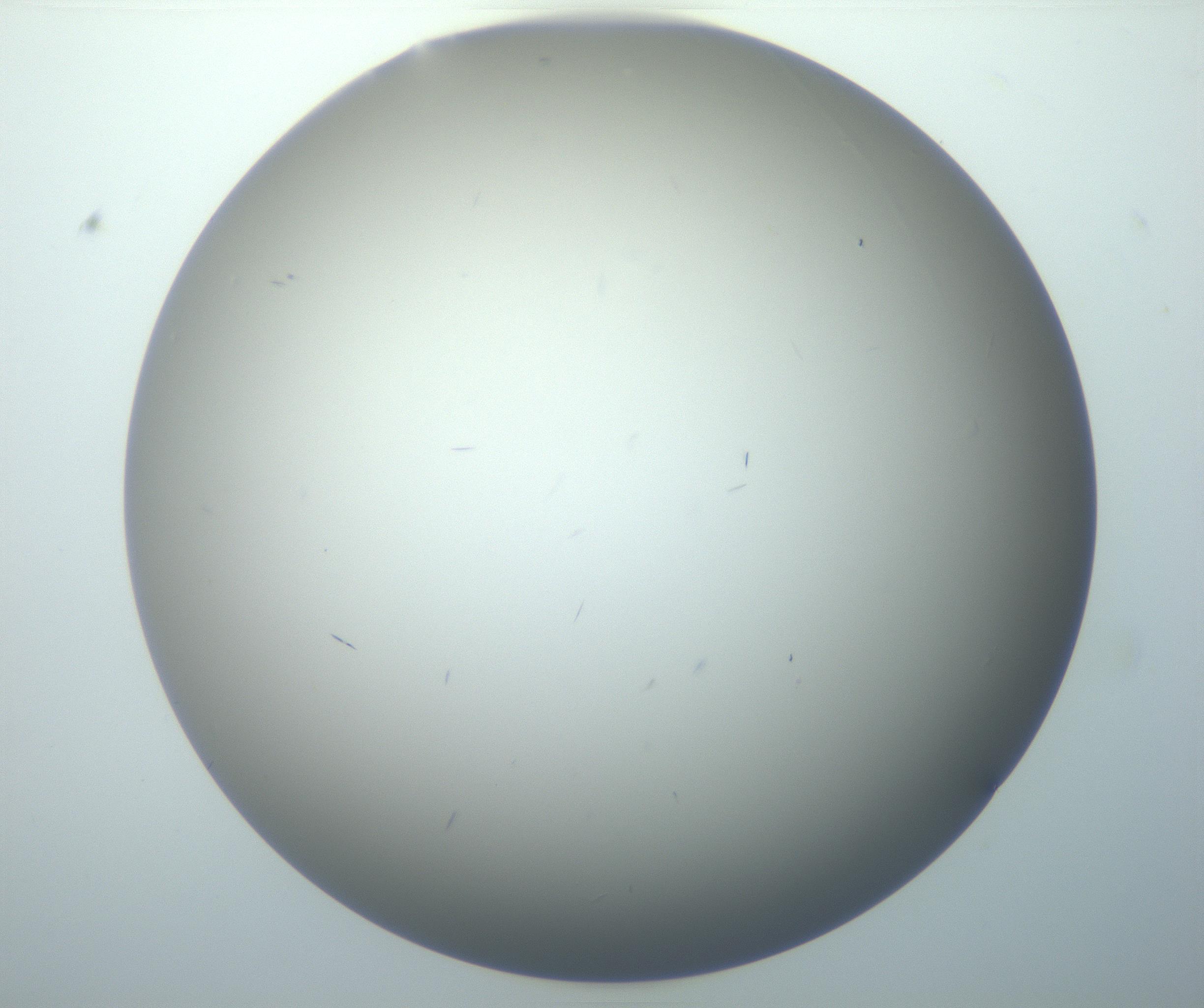RI01_03_000_0212_Proj1_Clon1_MC_0000MC102886_002_161025_07_03_02_00_99_002_001_RAI.jpg