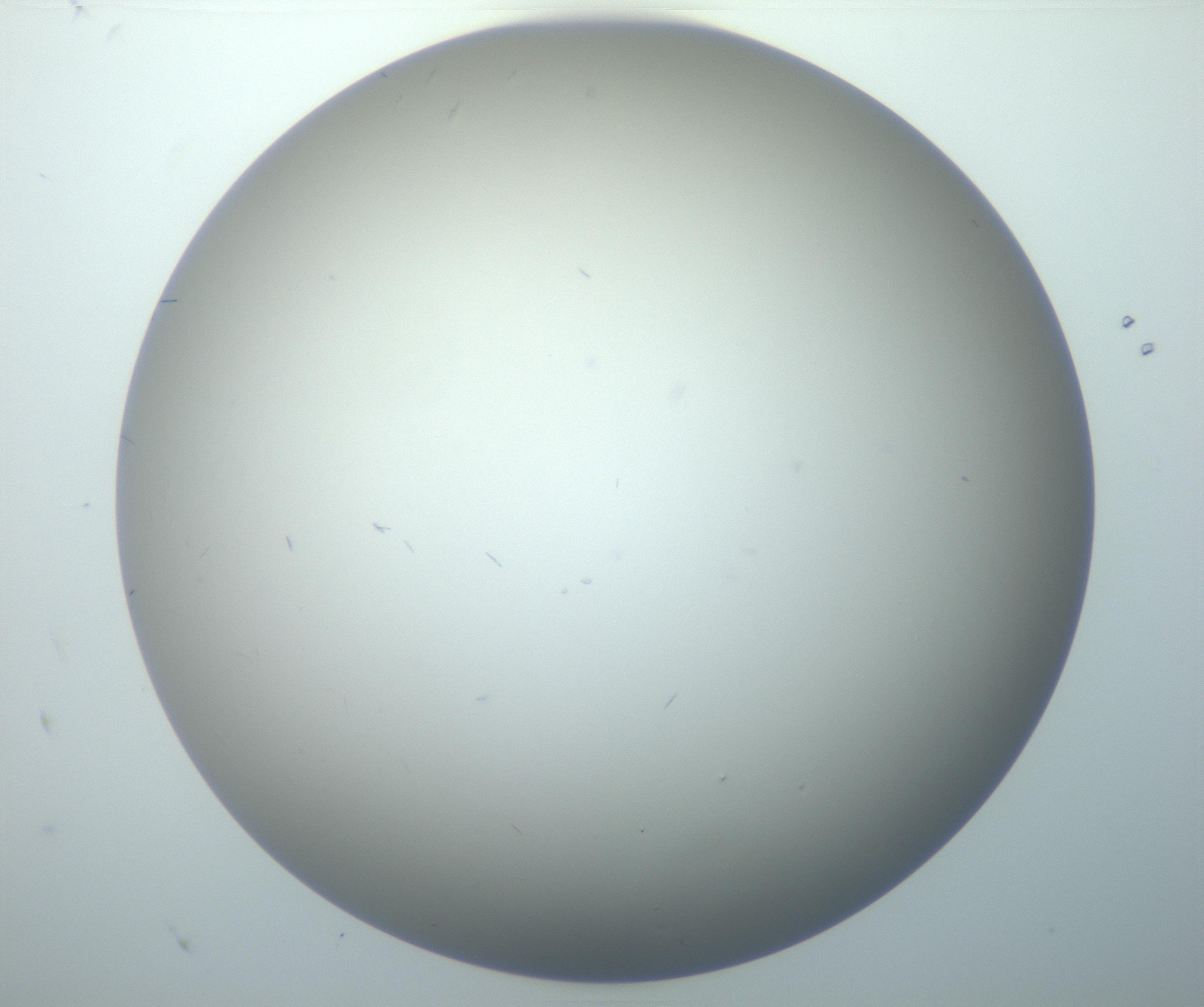 RI01_03_000_0212_Proj1_Clon1_MC_0000MC102886_002_161025_08_04_02_00_99_002_001_RAI.jpg