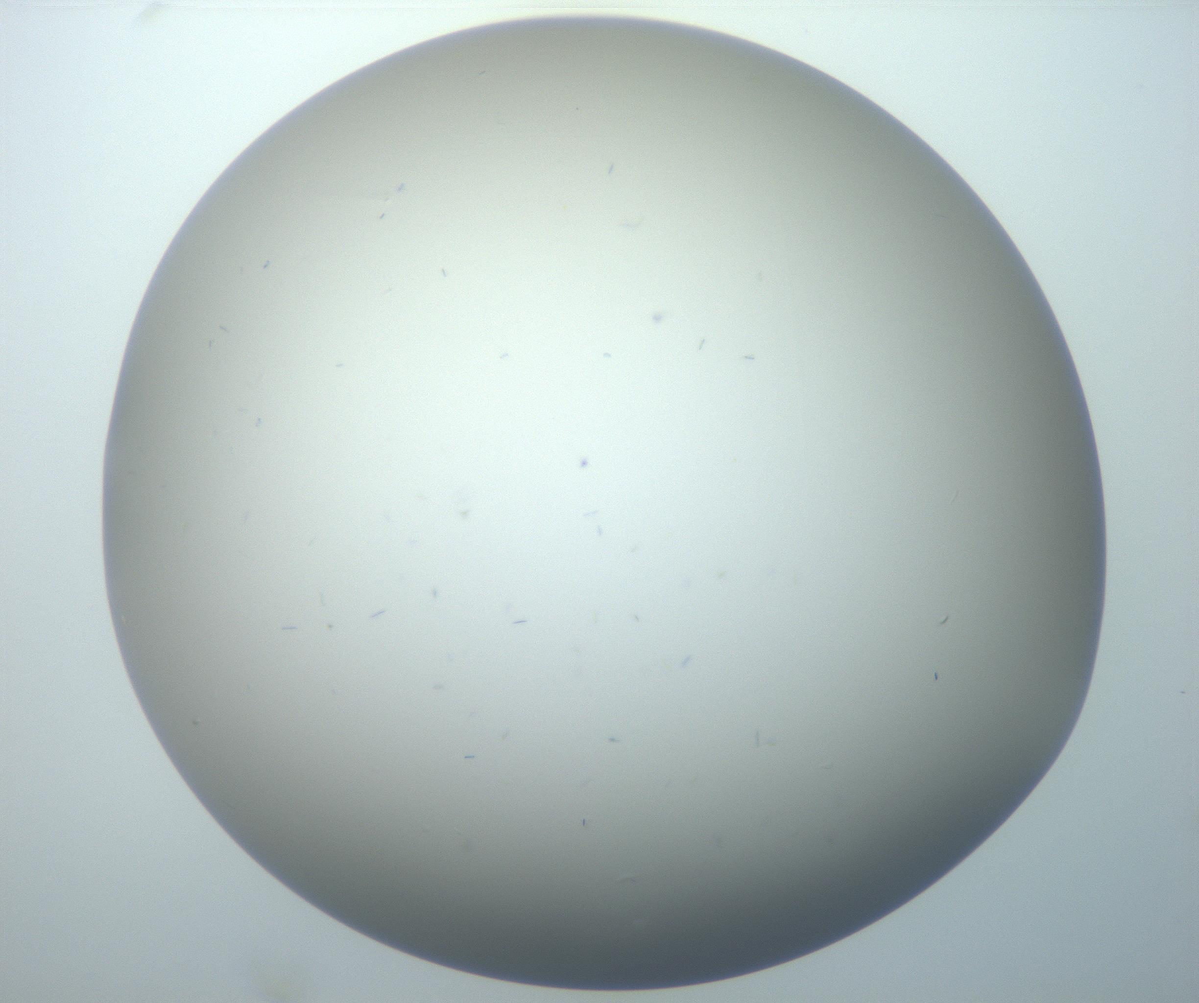 RI01_03_000_0212_Proj1_Clon1_MC_0000MC102886_002_161025_11_07_02_00_99_002_001_RAI.jpg