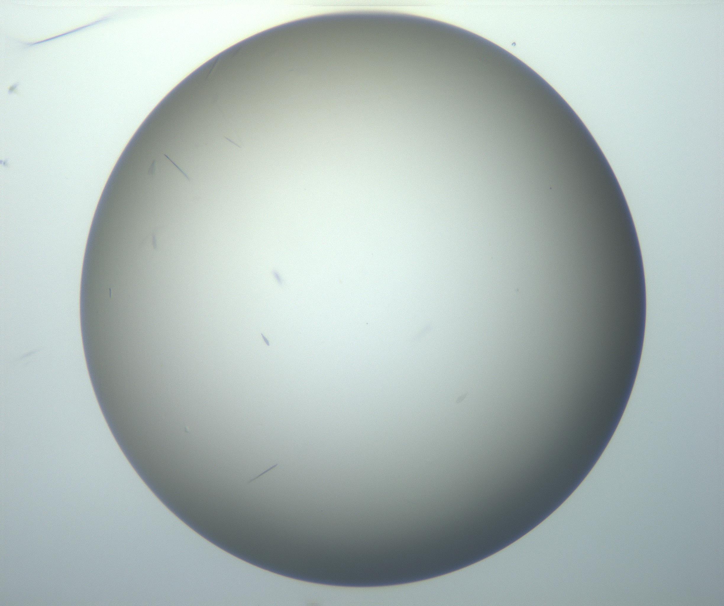 RI01_03_000_0212_Proj1_Clon1_MC_0000MC102886_007_161107_01_03_01_00_99_002_001_RAI.jpg