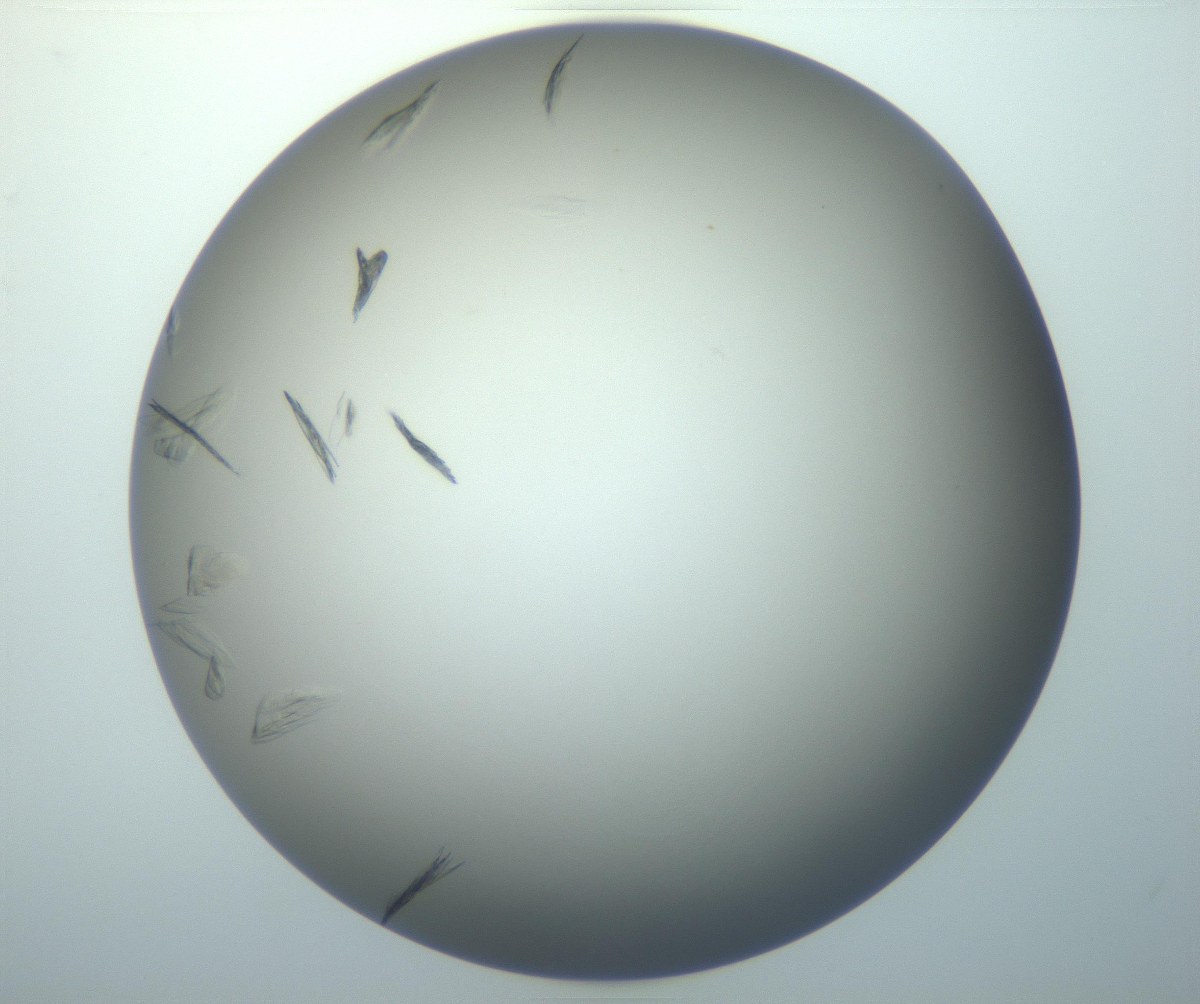 RI01_03_000_0212_Proj1_Clon1_MC_0000MC102886_007_161107_02_05_01_00_99_002_001_RAI.jpg