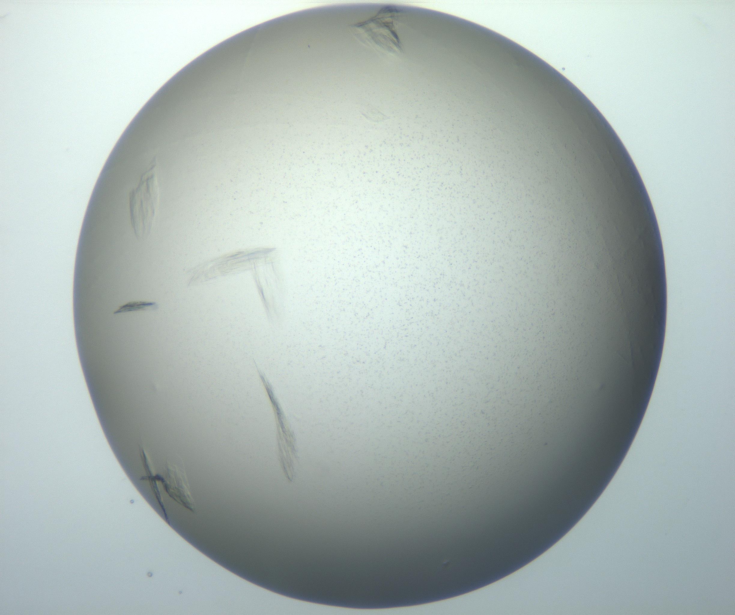 RI01_03_000_0212_Proj1_Clon1_MC_0000MC102886_007_161107_03_08_01_00_99_002_001_RAI.jpg