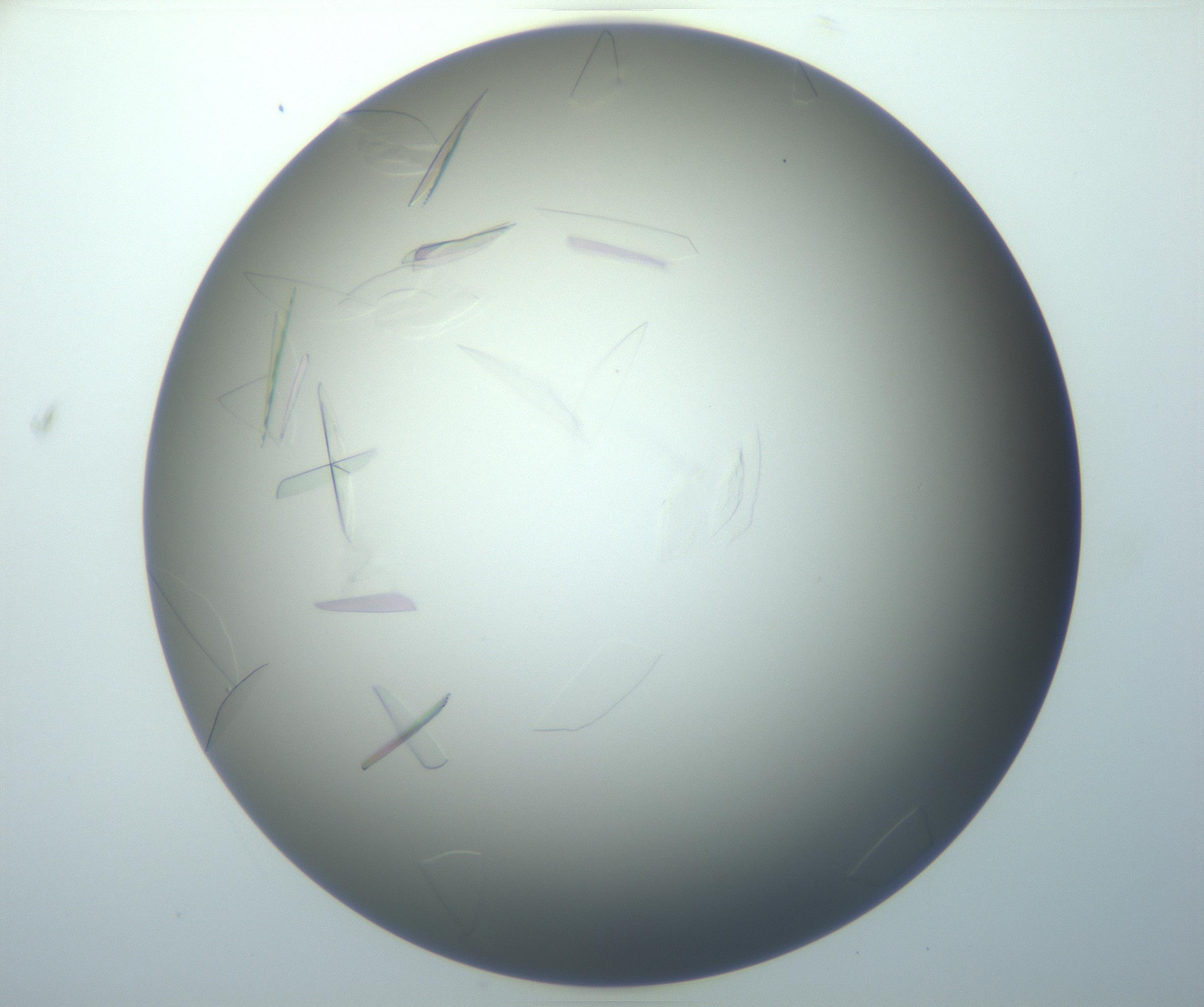 RI01_03_000_0212_Proj1_Clon1_MC_0000MC102886_007_161107_04_03_01_00_99_002_001_RAI.jpg