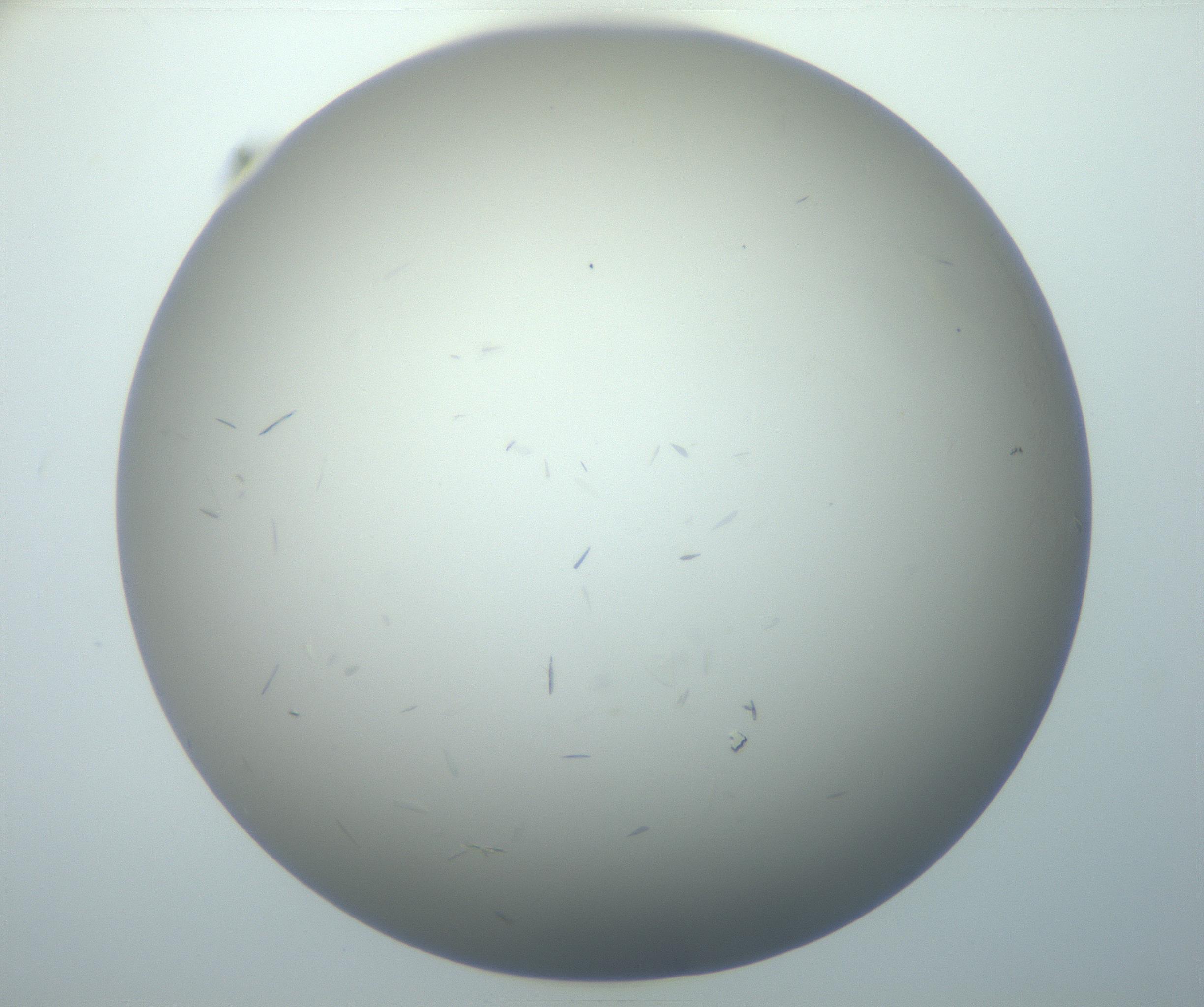 RI01_03_000_0212_Proj1_Clon1_MC_0000MC102886_007_161107_04_07_02_00_99_002_001_RAI.jpg