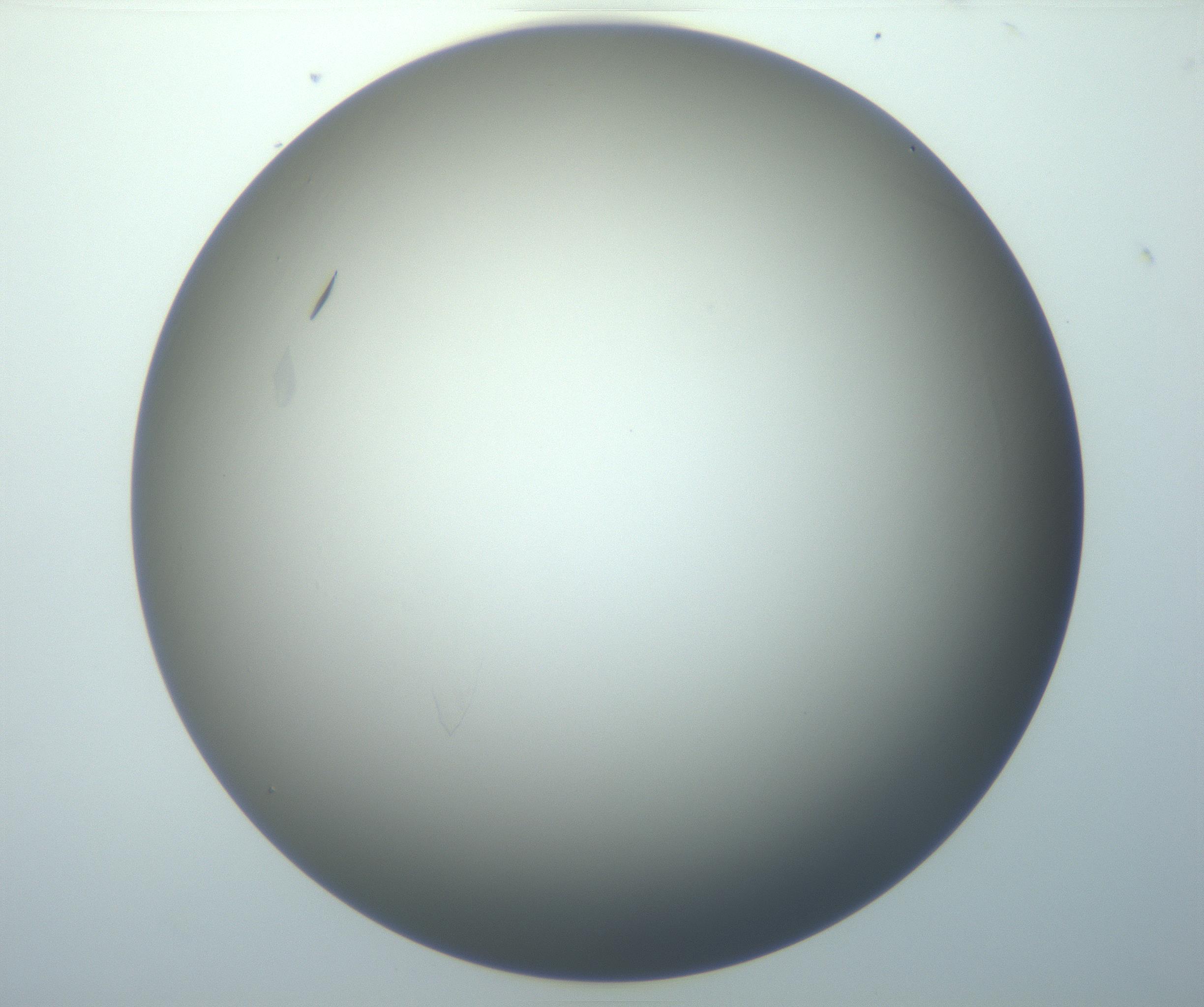 RI01_03_000_0212_Proj1_Clon1_MC_0000MC102886_007_161107_05_03_01_00_99_002_001_RAI.jpg