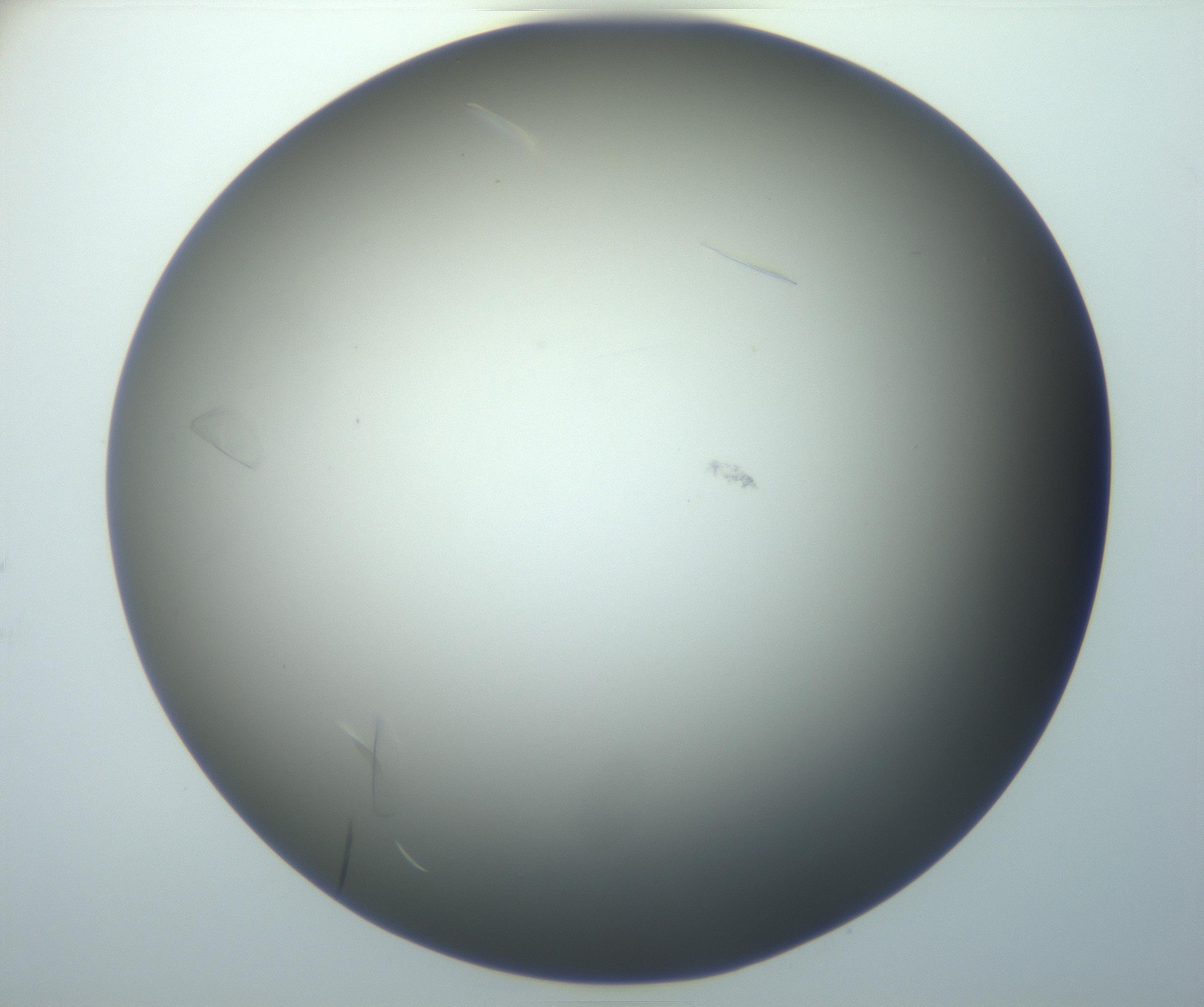 RI01_03_000_0212_Proj1_Clon1_MC_0000MC102886_007_161107_05_07_01_00_99_002_001_RAI.jpg