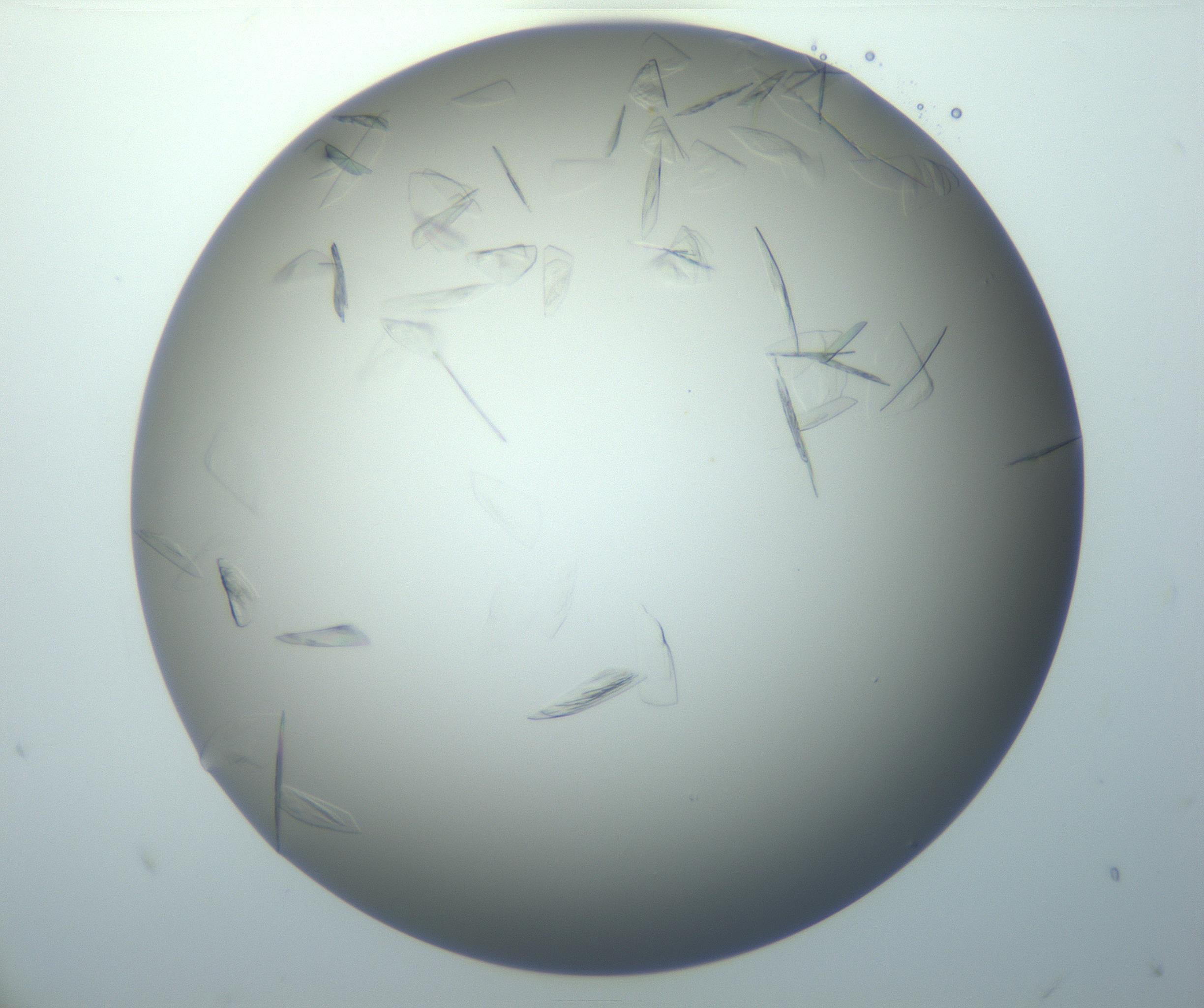 RI01_03_000_0212_Proj1_Clon1_MC_0000MC102886_007_161107_07_01_01_00_99_002_001_RAI.jpg