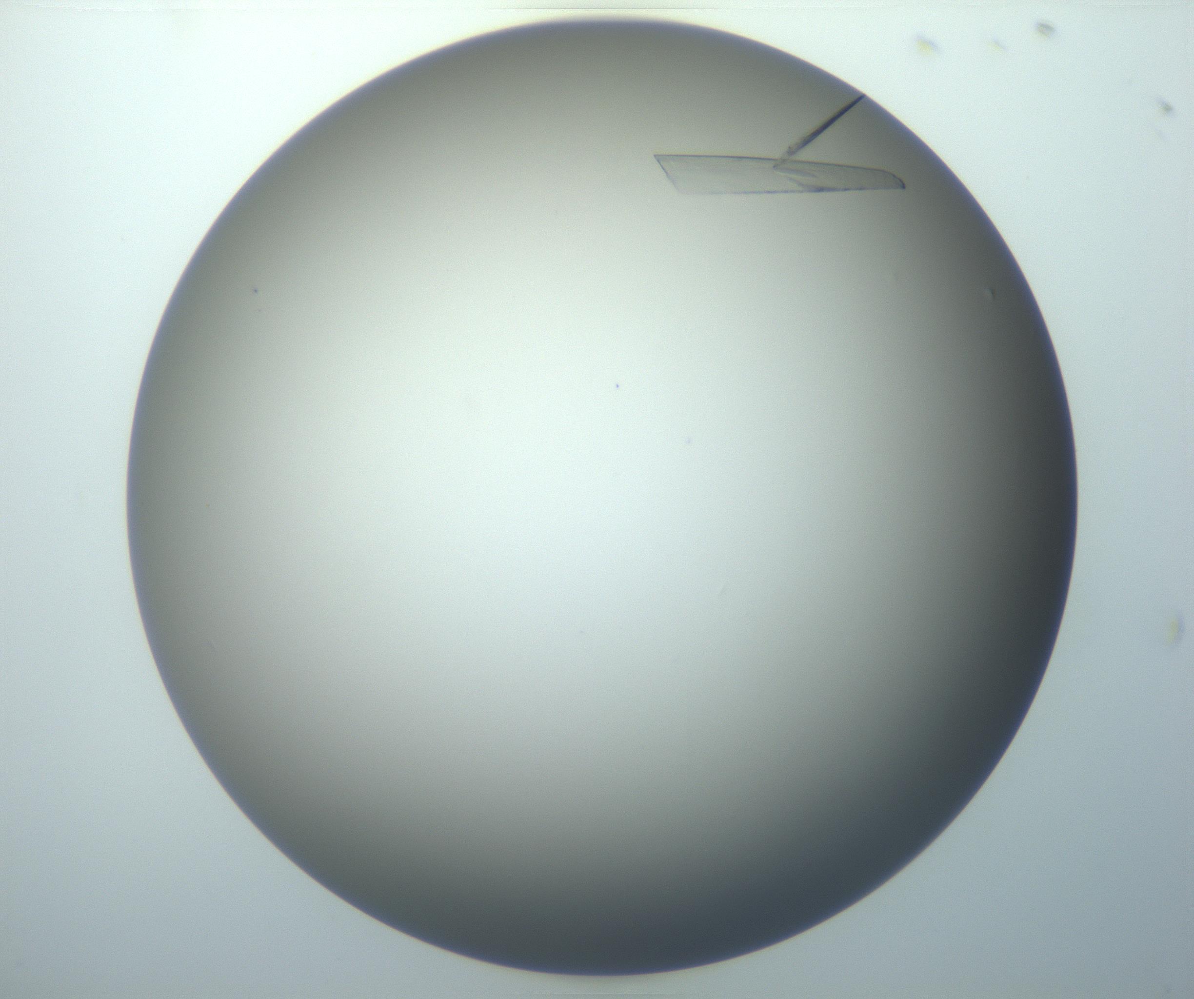 RI01_03_000_0212_Proj1_Clon1_MC_0000MC102886_007_161107_08_02_01_00_99_002_001_RAI.jpg
