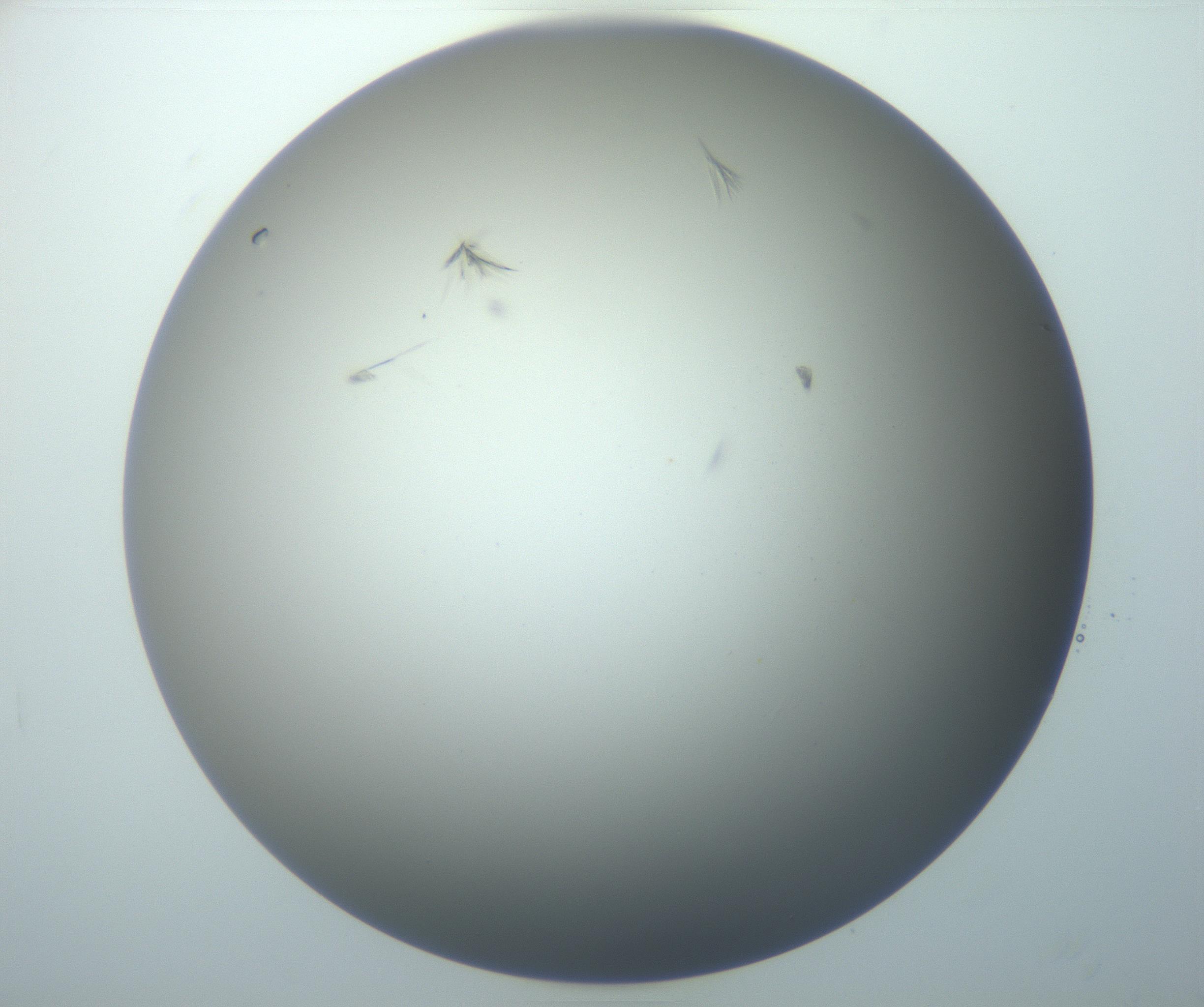 RI01_03_000_0212_Proj1_Clon1_MC_0000MC102886_007_161107_08_05_01_00_99_002_001_RAI.jpg