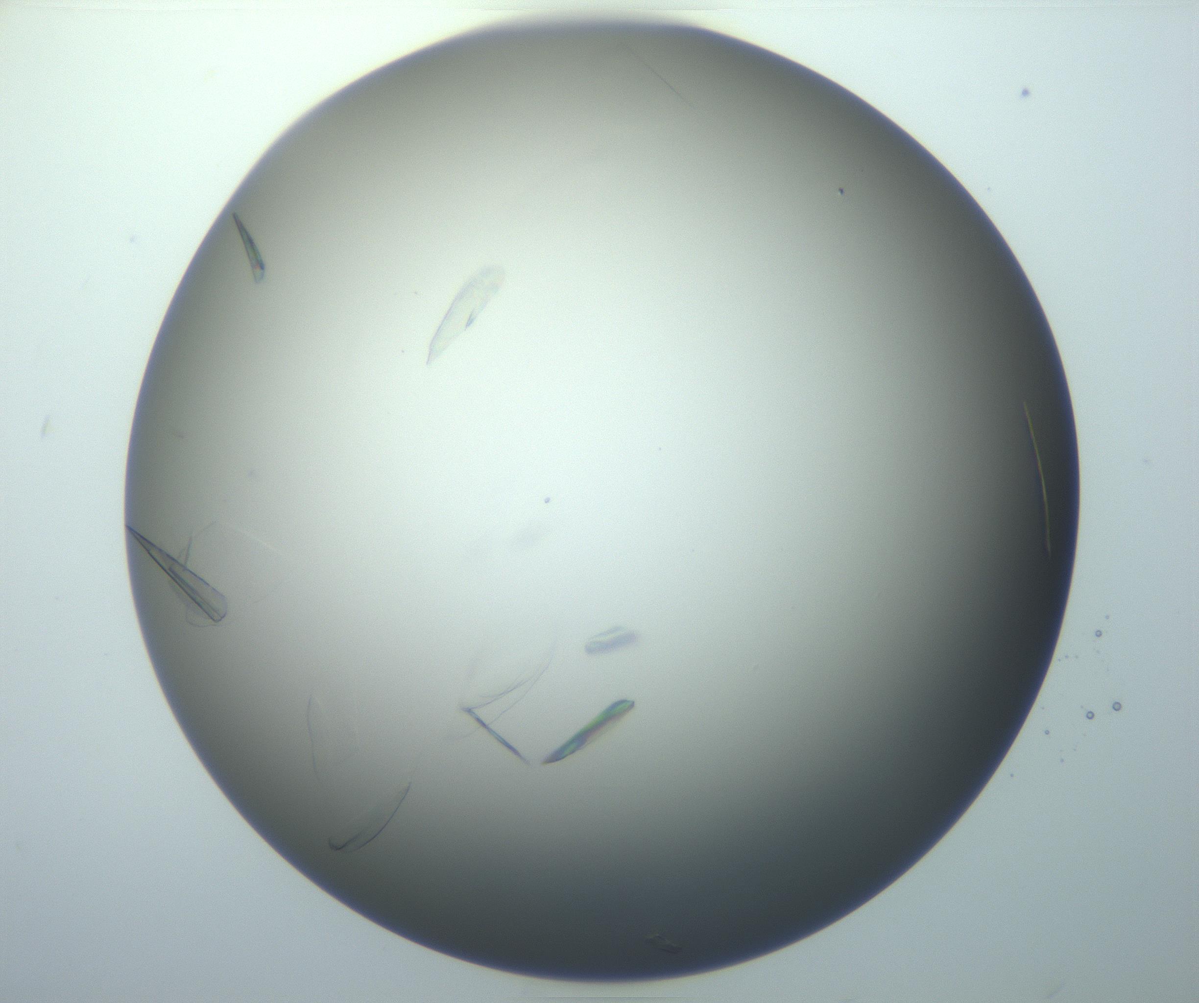 RI01_03_000_0212_Proj1_Clon1_MC_0000MC102886_007_161107_08_08_01_00_99_002_001_RAI.jpg