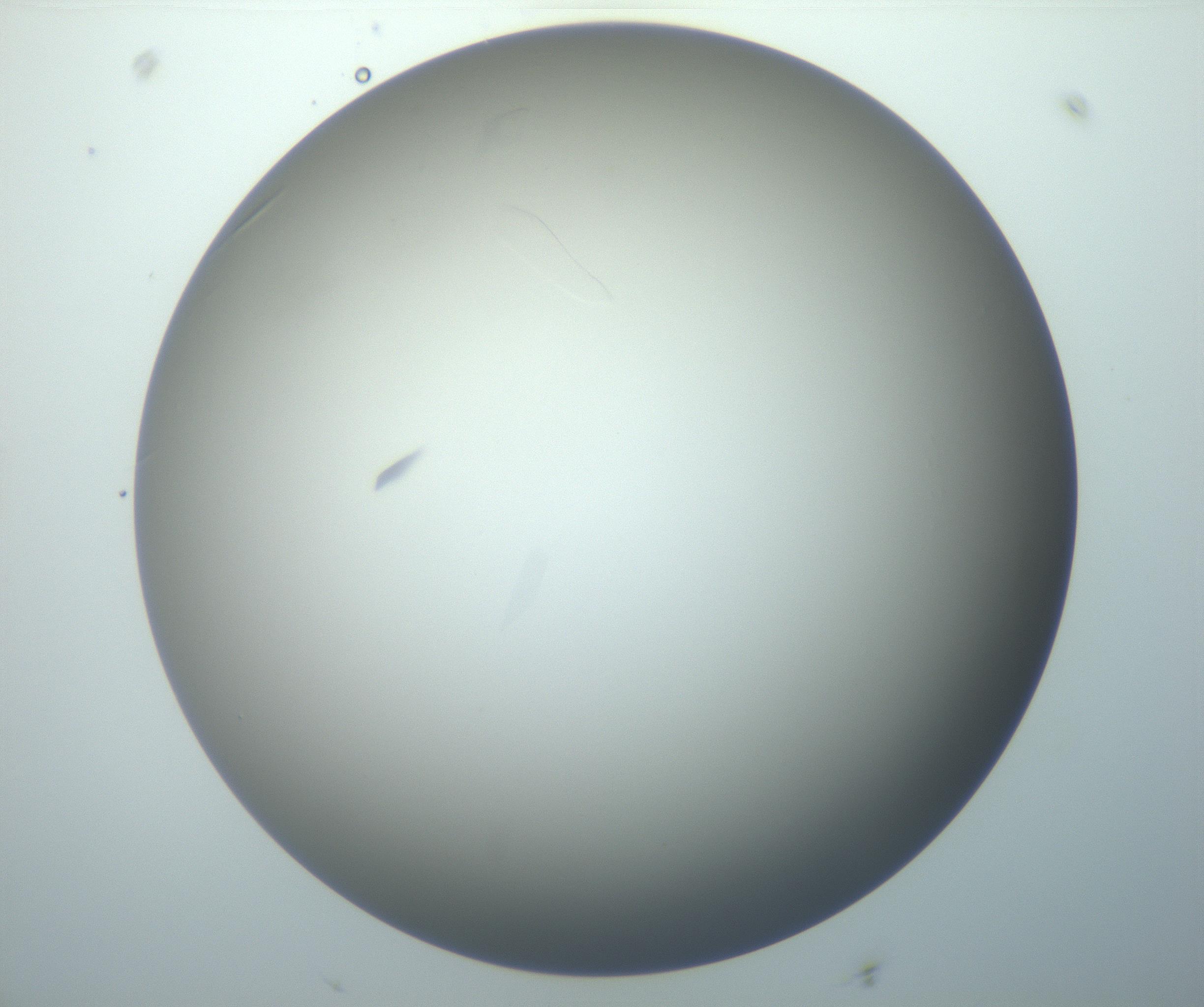RI01_03_000_0212_Proj1_Clon1_MC_0000MC102886_007_161107_09_02_02_00_99_002_001_RAI.jpg
