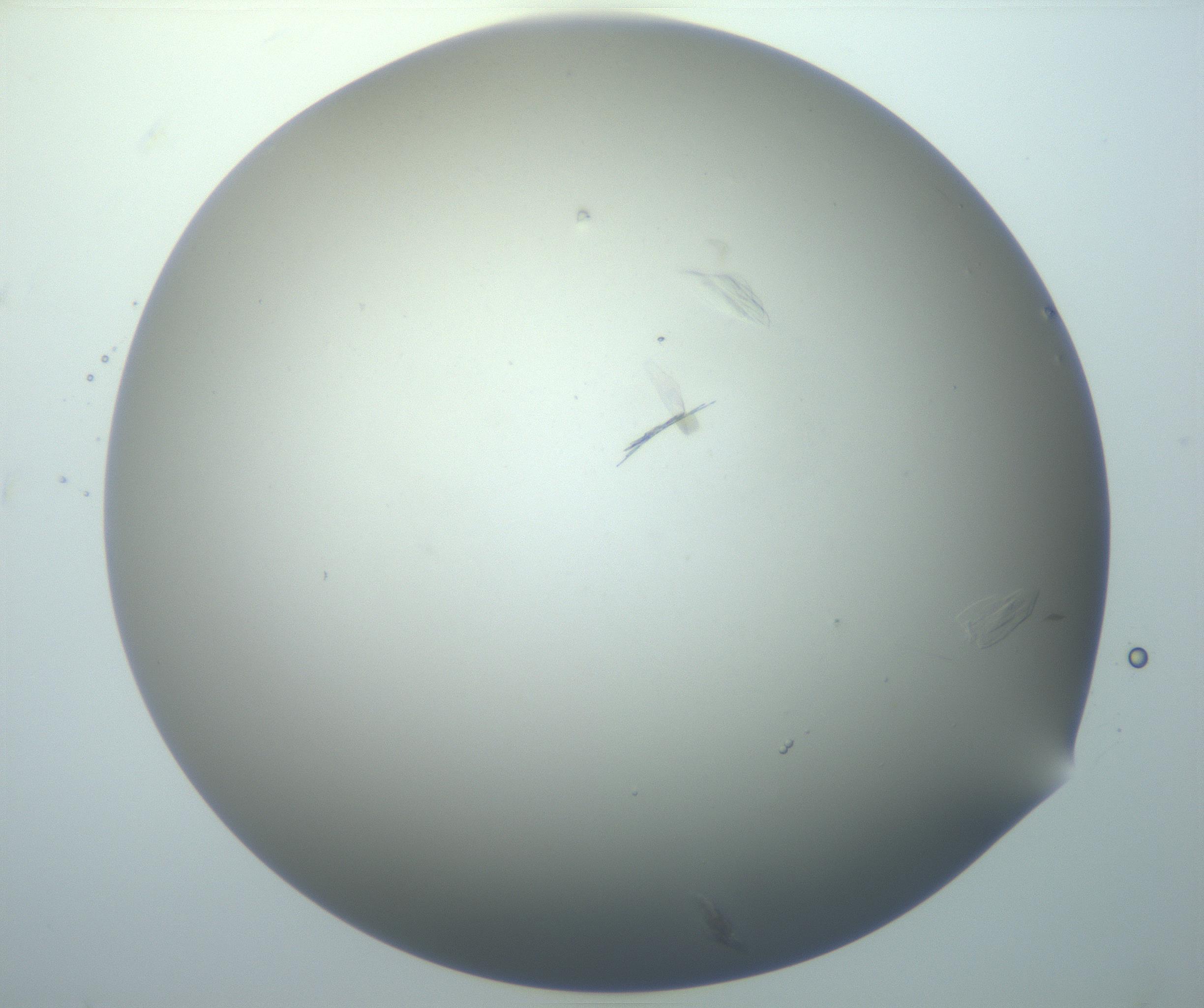 RI01_03_000_0212_Proj1_Clon1_MC_0000MC102886_007_161107_09_08_02_00_99_002_001_RAI.jpg