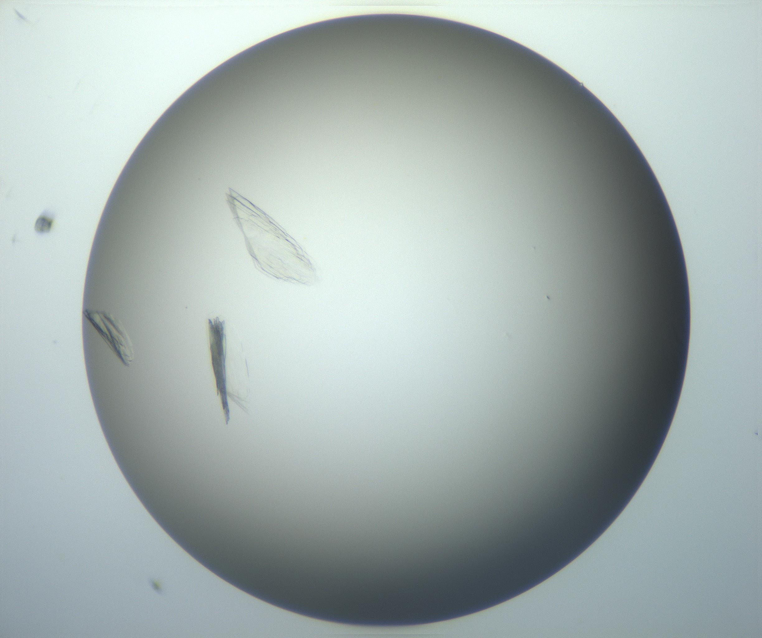 RI01_03_000_0212_Proj1_Clon1_MC_0000MC102886_007_161107_12_01_01_00_99_002_001_RAI.jpg