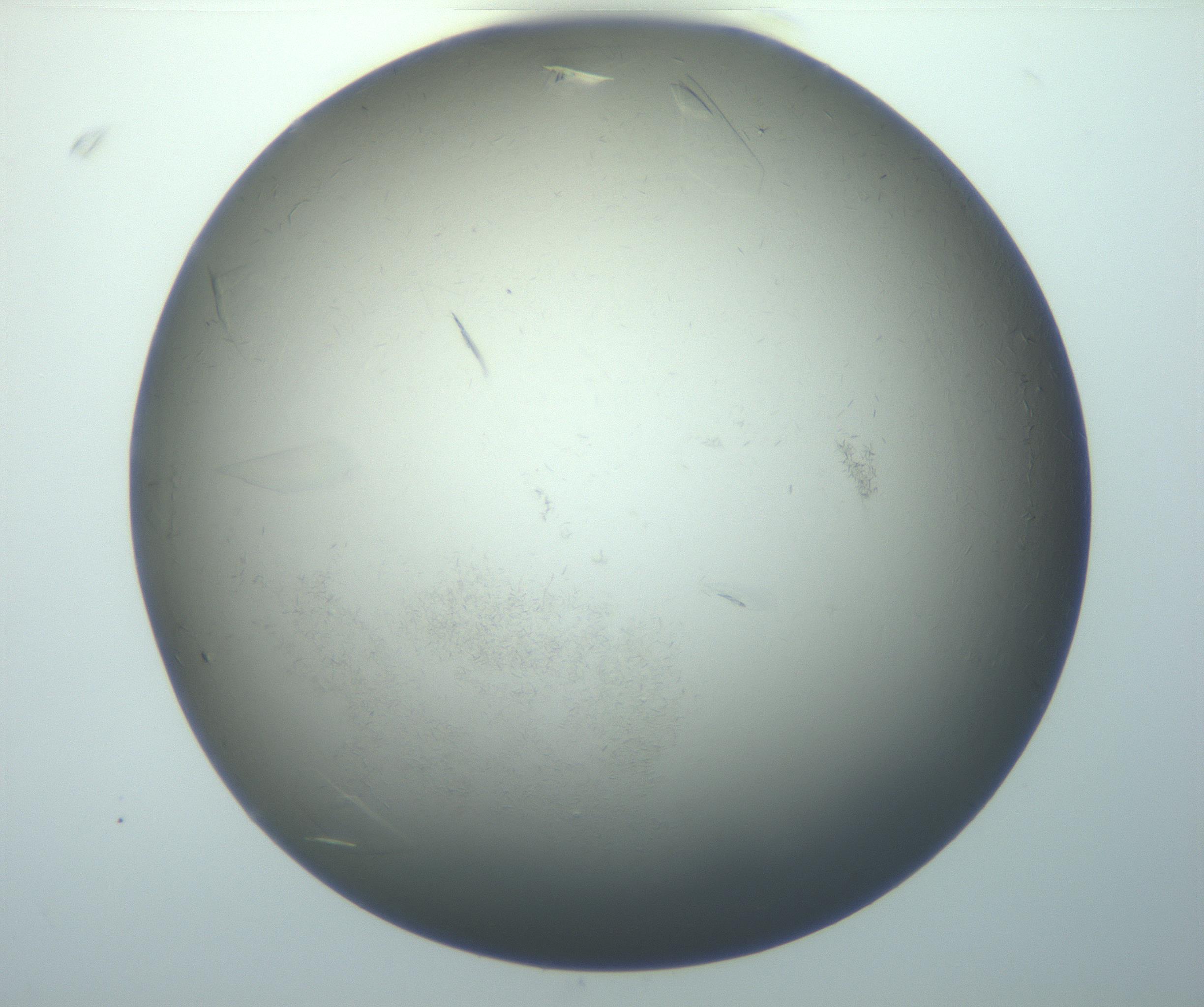 RI01_03_000_0212_Proj1_Clon1_MC_0000MC102886_010_161128_02_07_01_00_99_002_001_RAI.jpg