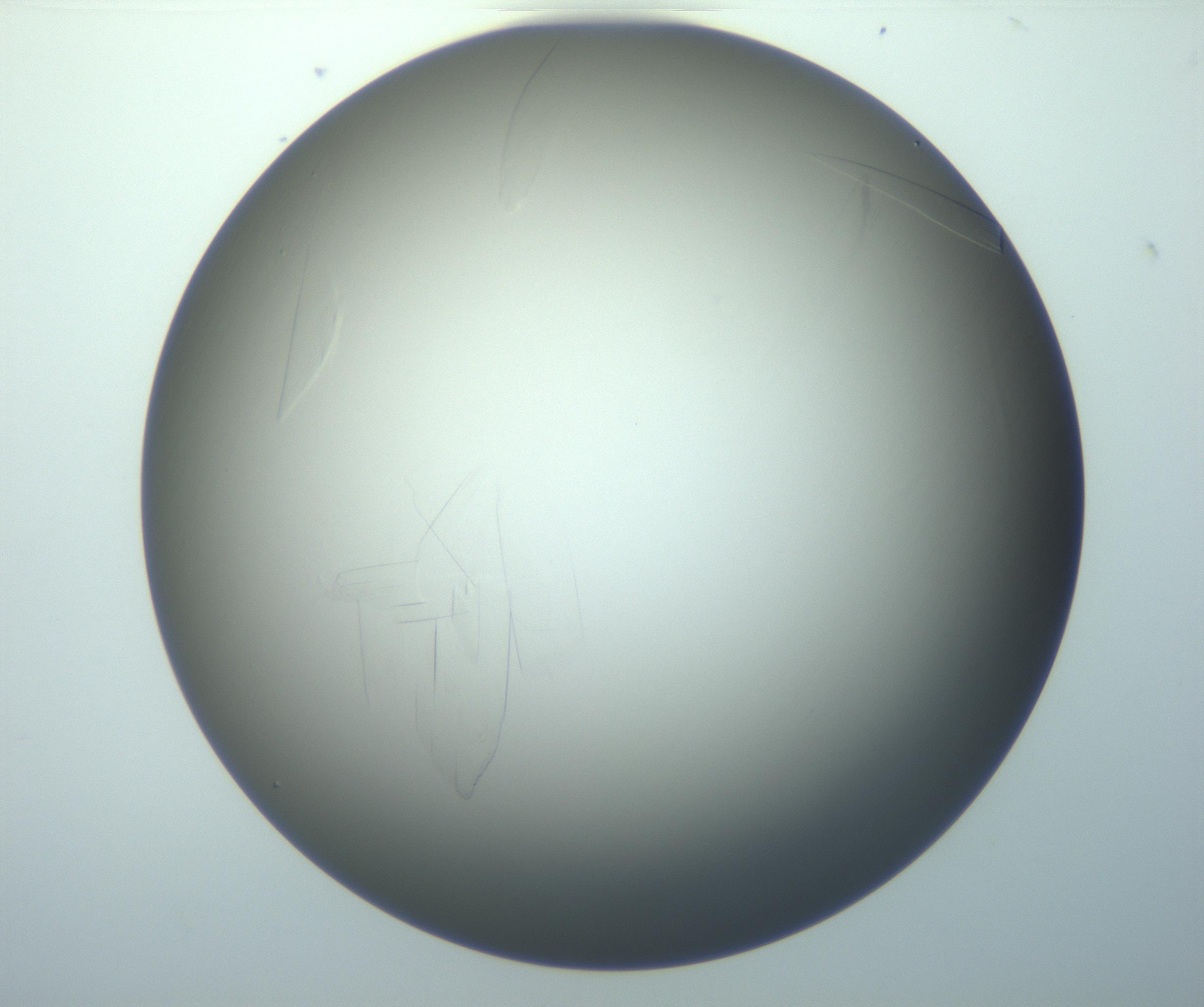 RI01_03_000_0212_Proj1_Clon1_MC_0000MC102886_010_161128_05_03_01_00_99_002_001_RAI.jpg