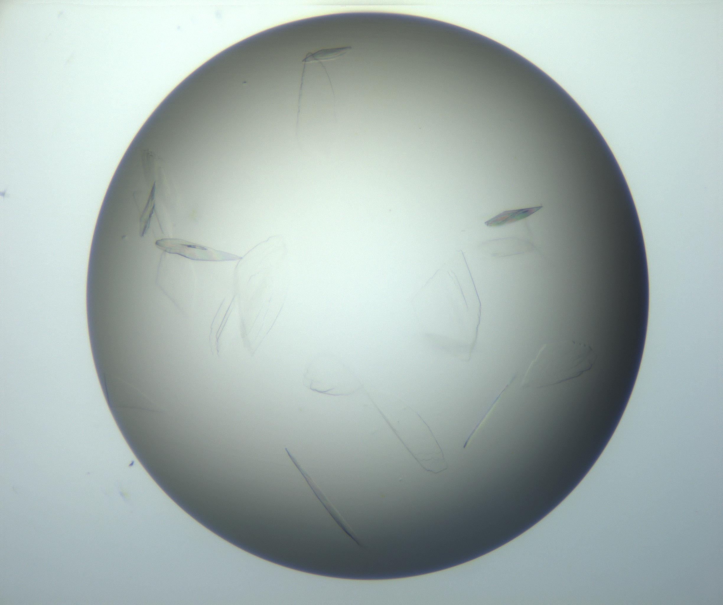 RI01_03_000_0212_Proj1_Clon1_MC_0000MC102886_010_161128_05_03_02_00_99_002_001_RAI.jpg