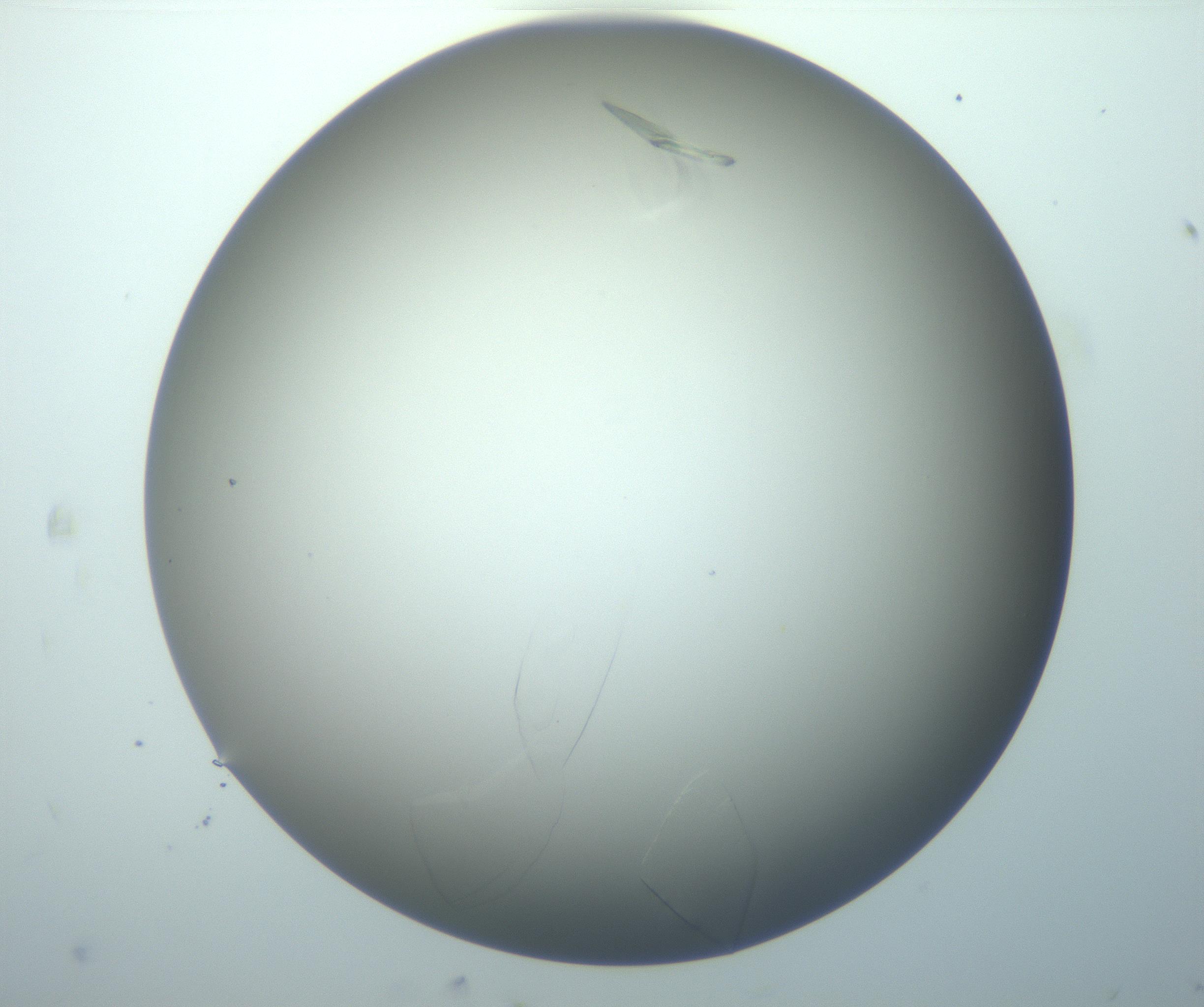 RI01_03_000_0212_Proj1_Clon1_MC_0000MC102886_010_161128_05_07_02_00_99_002_001_RAI.jpg