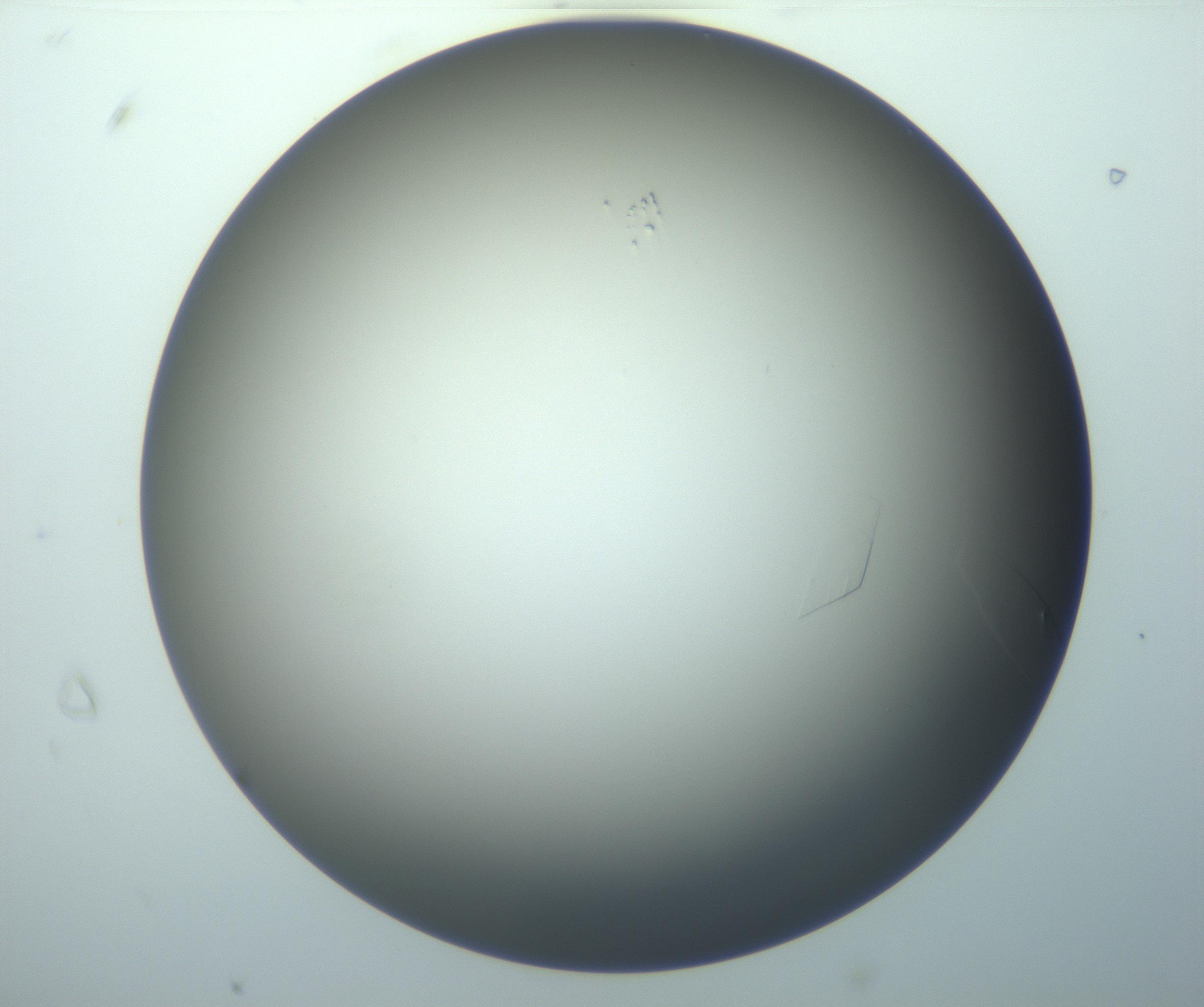 RI01_03_000_0212_Proj1_Clon1_MC_0000MC102886_010_161128_09_02_01_00_99_002_001_RAI.jpg
