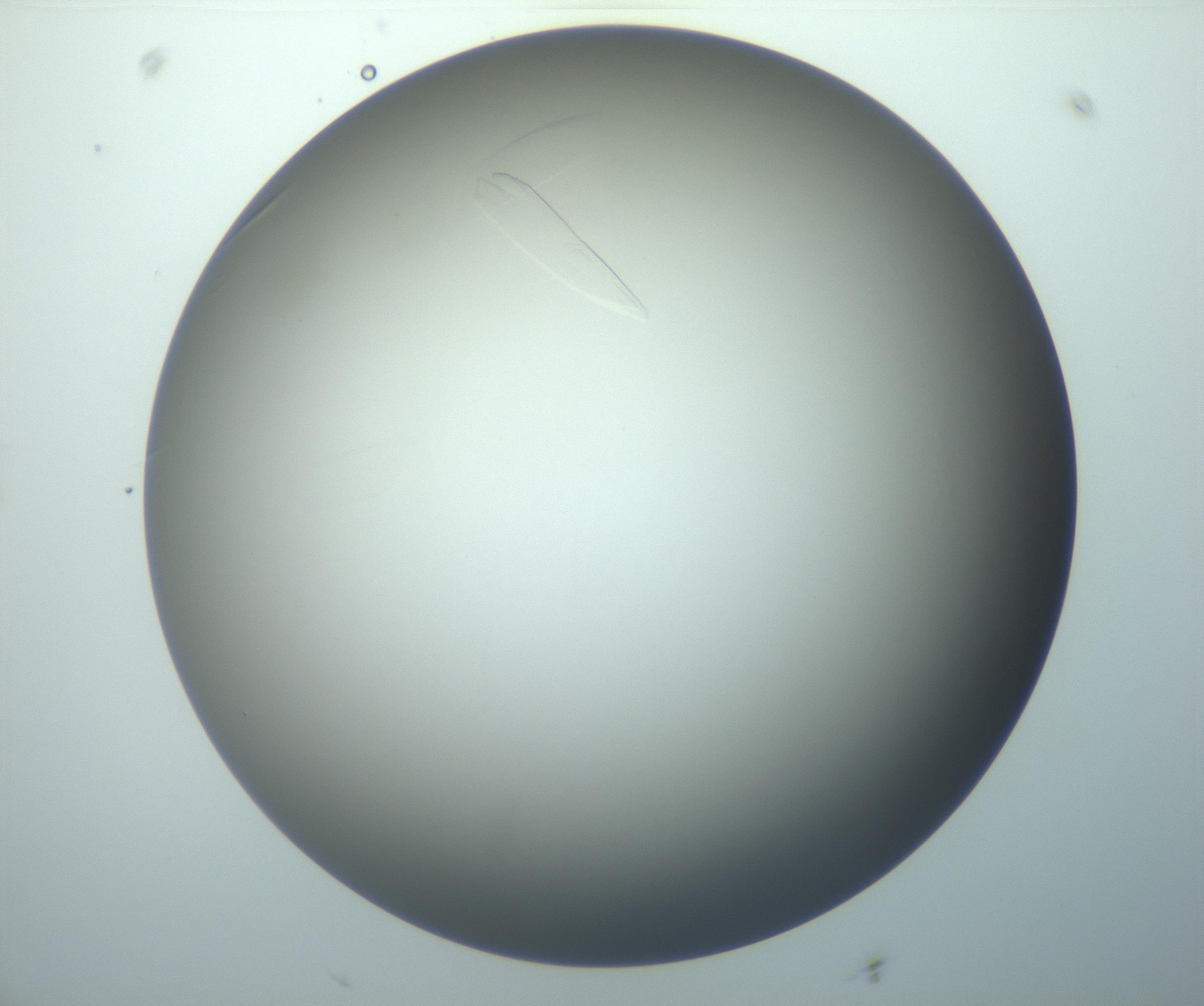 RI01_03_000_0212_Proj1_Clon1_MC_0000MC102886_010_161128_09_02_02_00_99_002_001_RAI.jpg