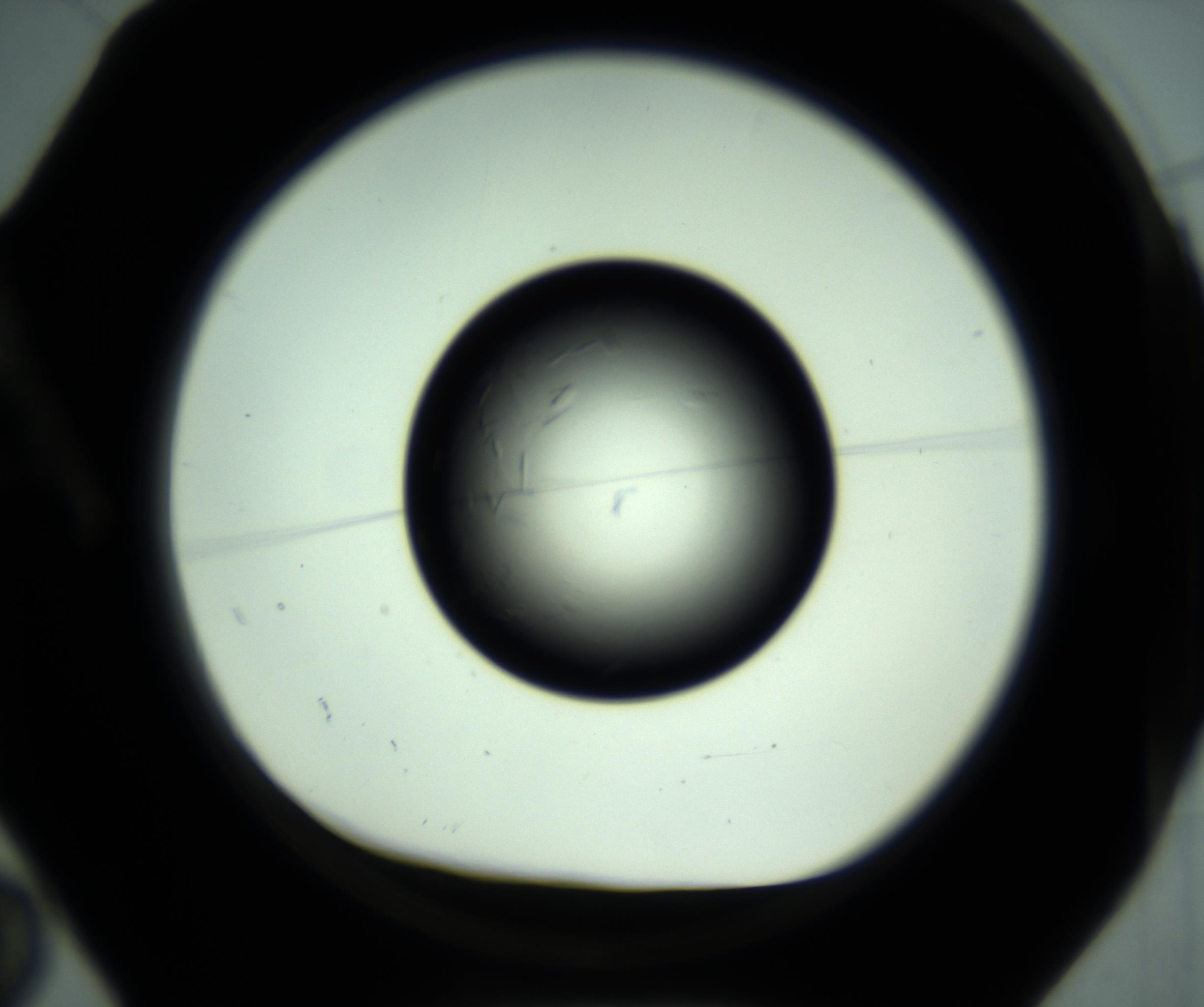 RI01_03_000_0212_Proj1_Clon1_MC_0000MC102887_001_161024_02_01_01_00_98_002_001_RAI.jpg