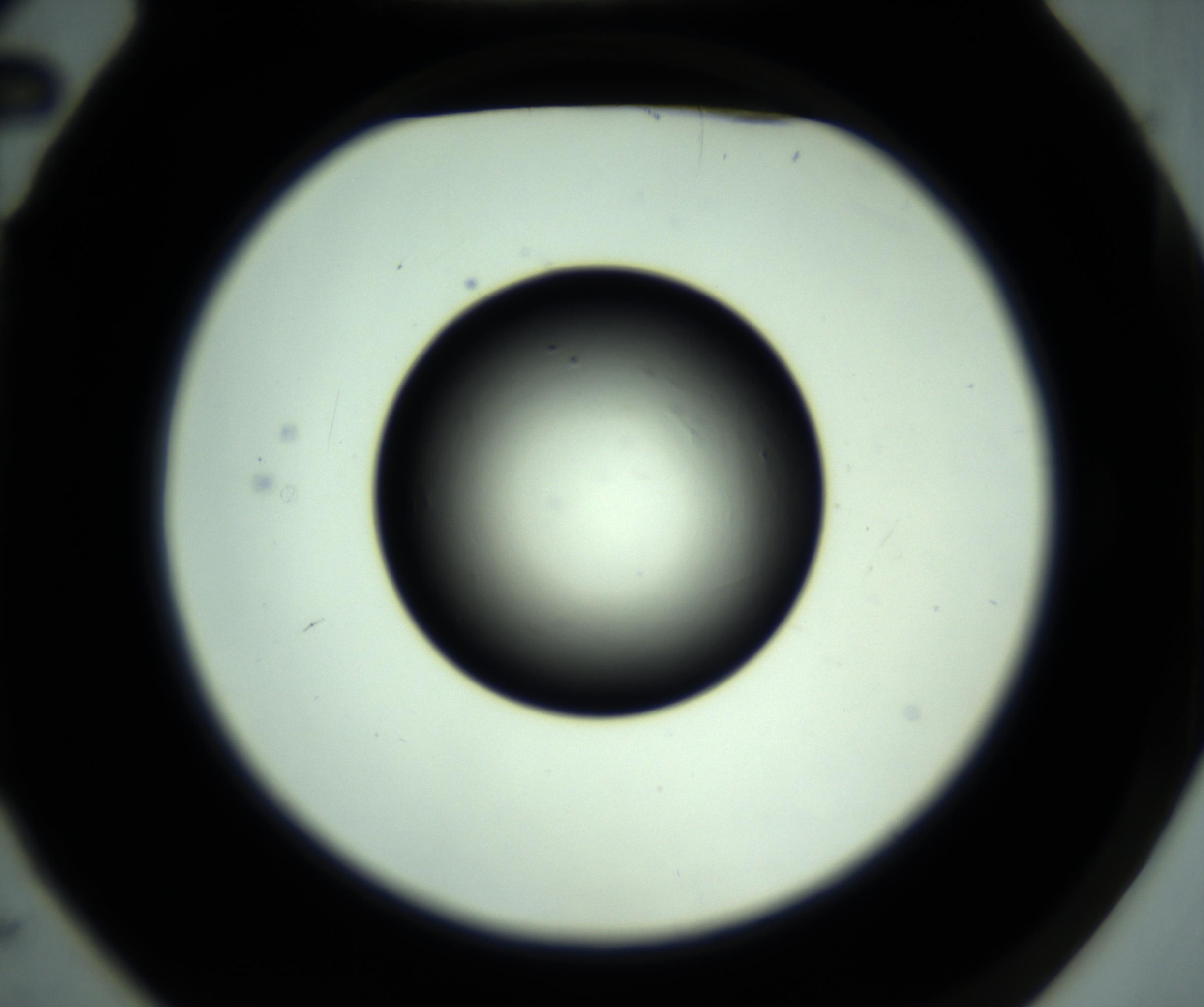 RI01_03_000_0212_Proj1_Clon1_MC_0000MC102887_001_161024_02_01_02_00_98_002_001_RAI.jpg