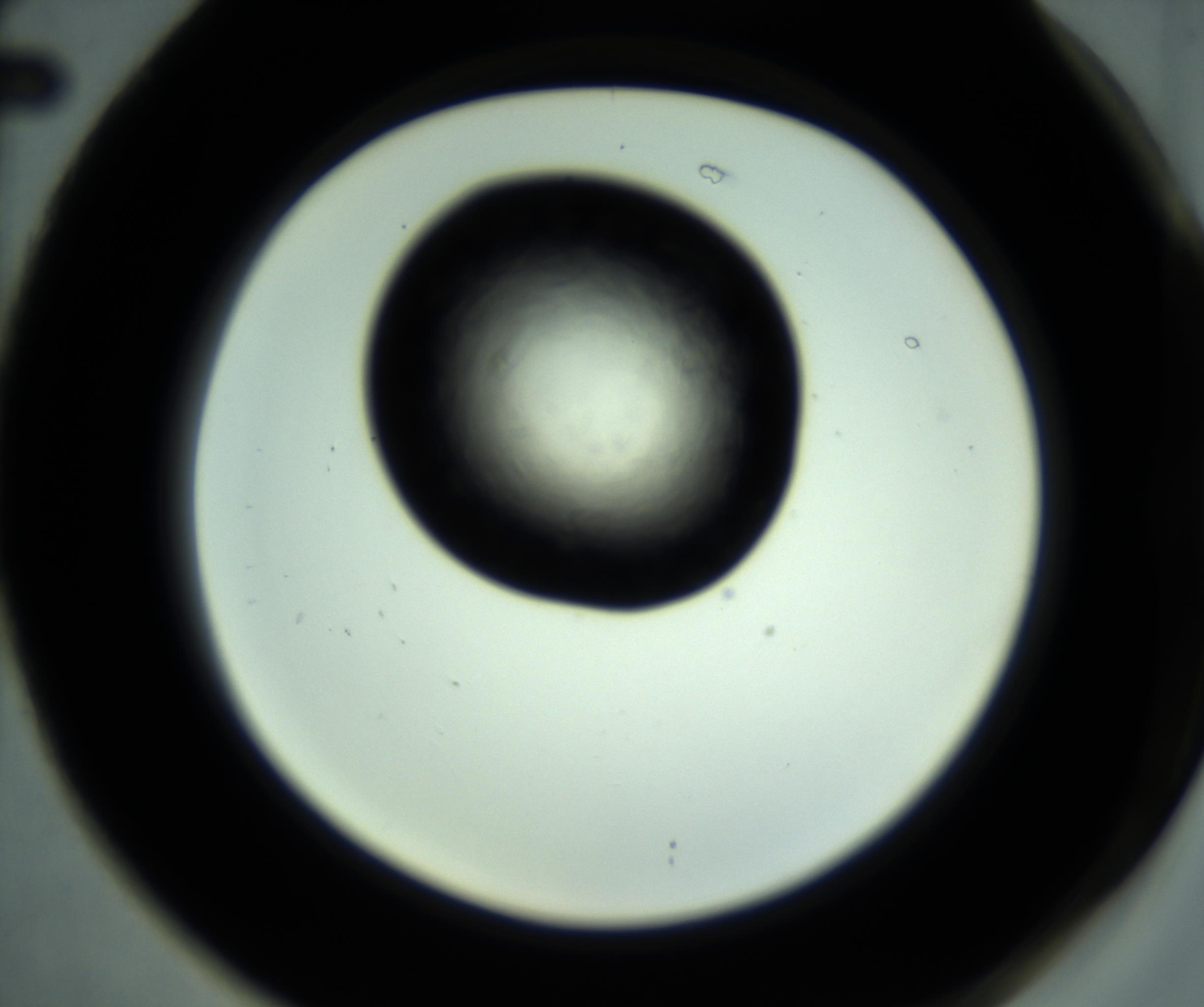 RI01_03_000_0212_Proj1_Clon1_MC_0000MC102887_001_161024_02_07_02_00_98_002_001_RAI.jpg