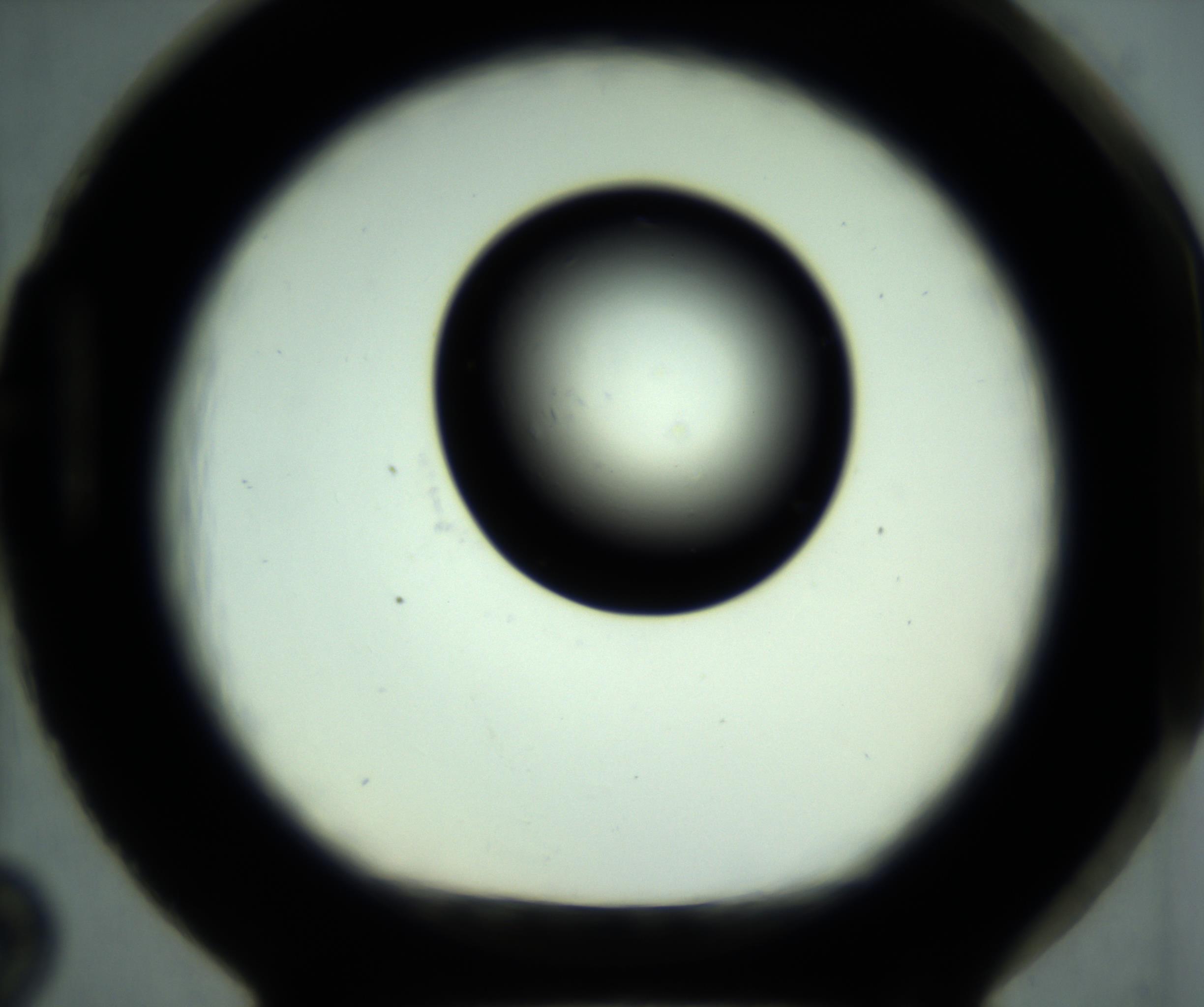 RI01_03_000_0212_Proj1_Clon1_MC_0000MC102887_001_161024_02_08_01_00_98_002_001_RAI.jpg
